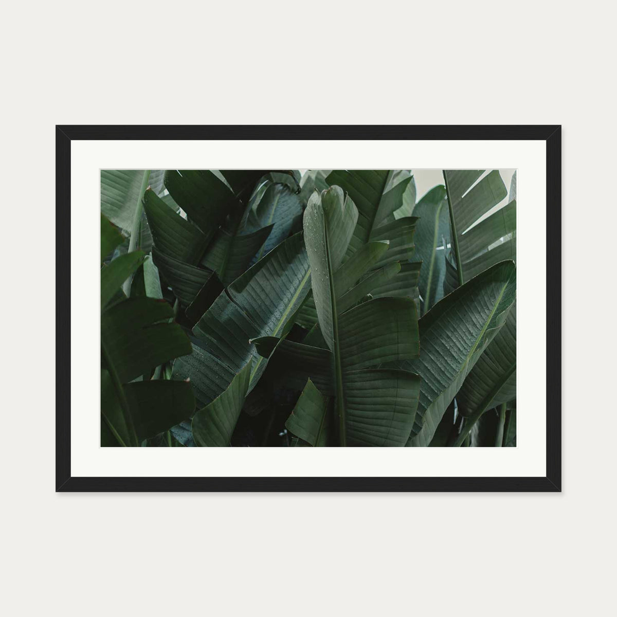 Tropical Forest Wall Art Print — 50 x 70 cm — Black Frame