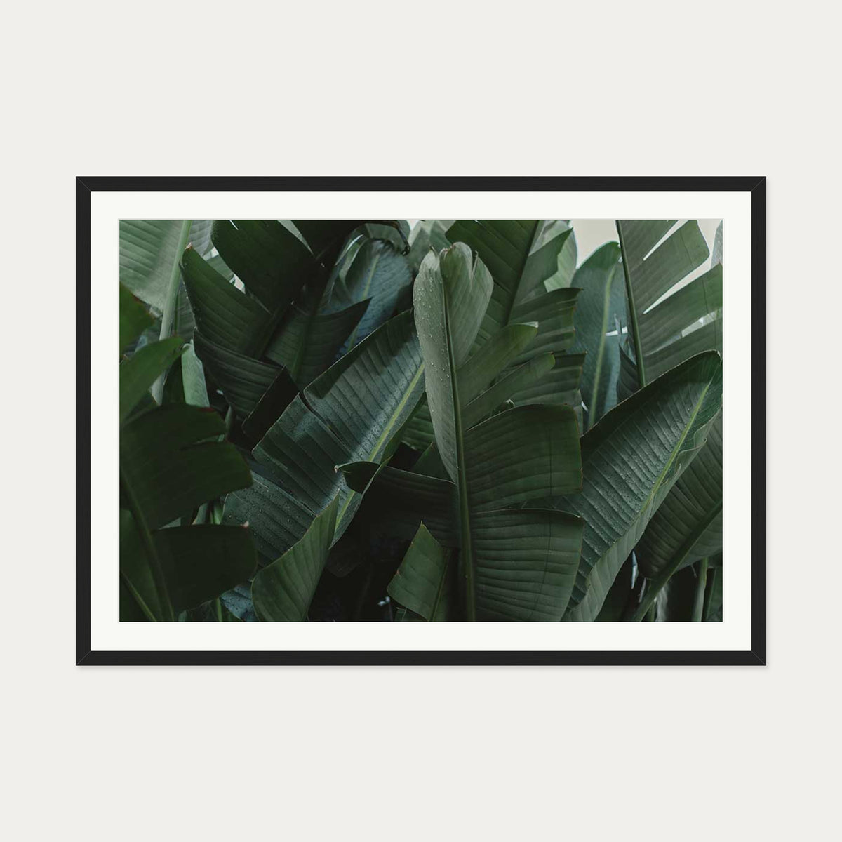 Tropical Forest Wall Art Print — 70 x 100 cm — Black Frame
