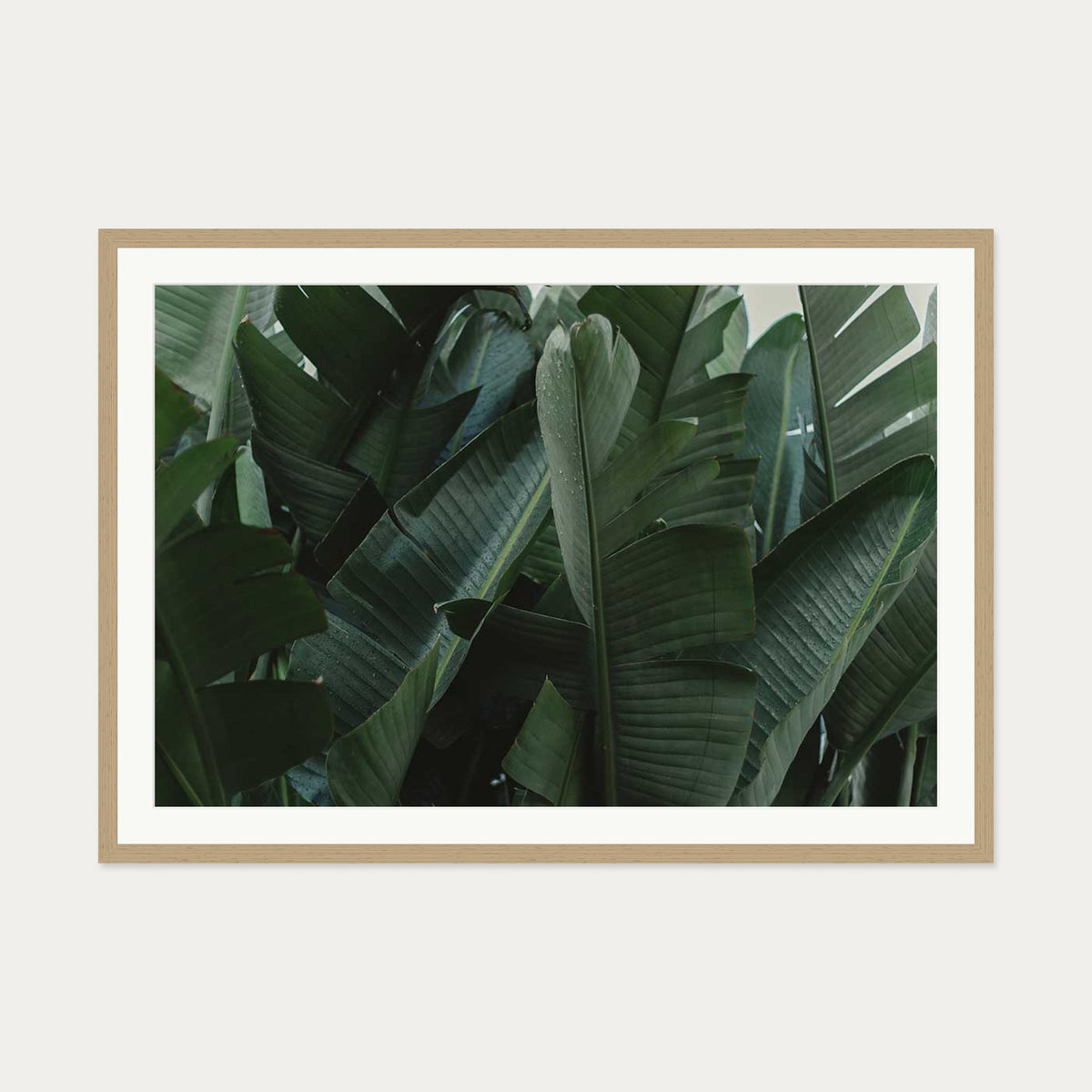 Tropical Forest Wall Art Print — 70 x 100 cm — Oak Frame