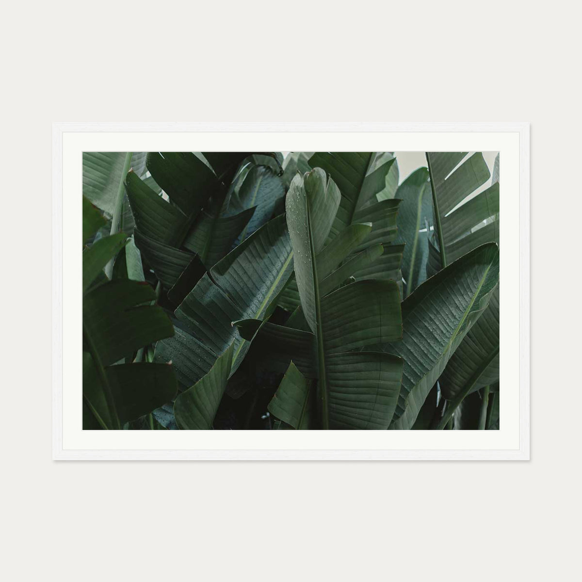 Tropical Forest Wall Art Print — 70 x 100 cm — White Frame