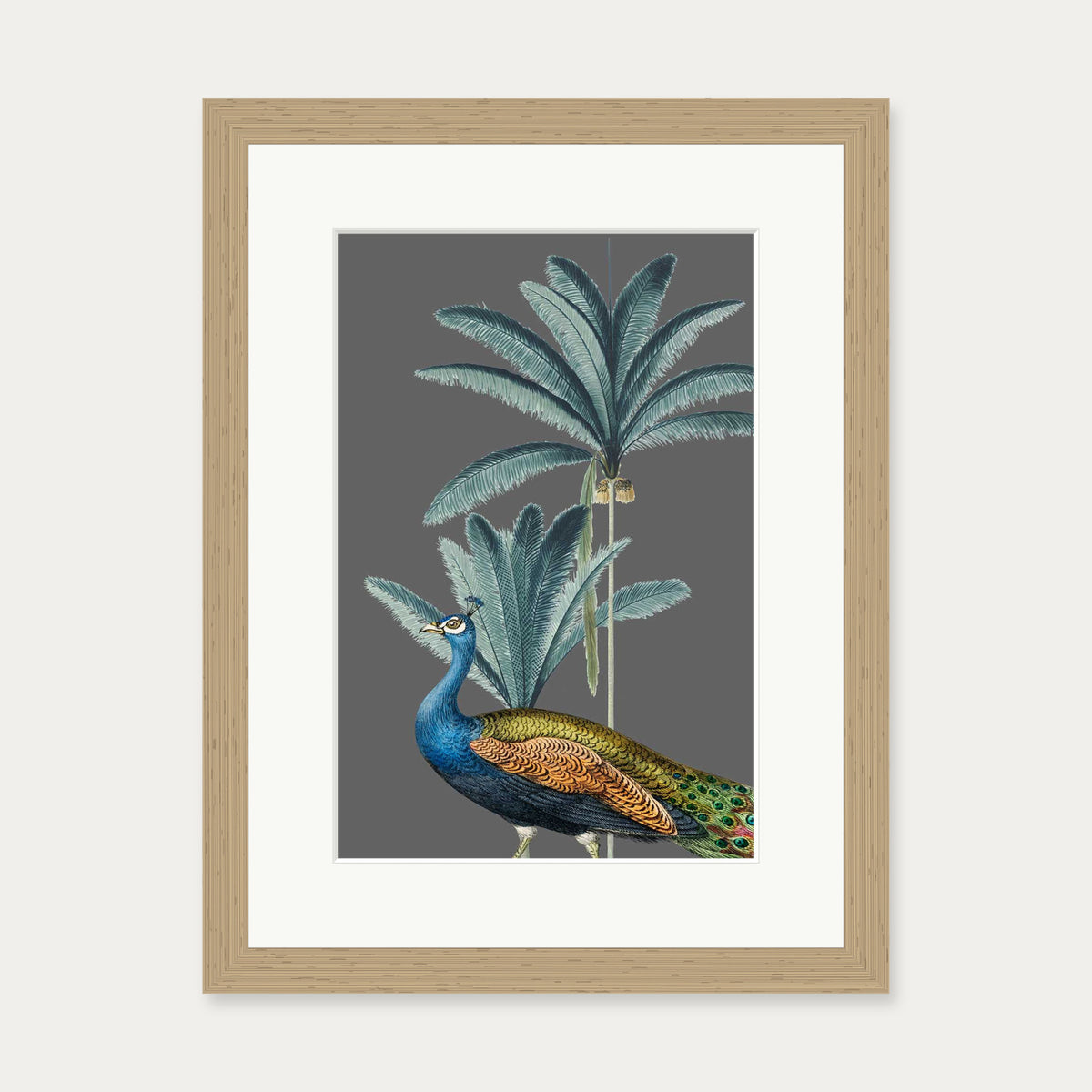 Tropical Jungle Peacock Grey Art Print — 30 x 40 cm — Oak Frame
