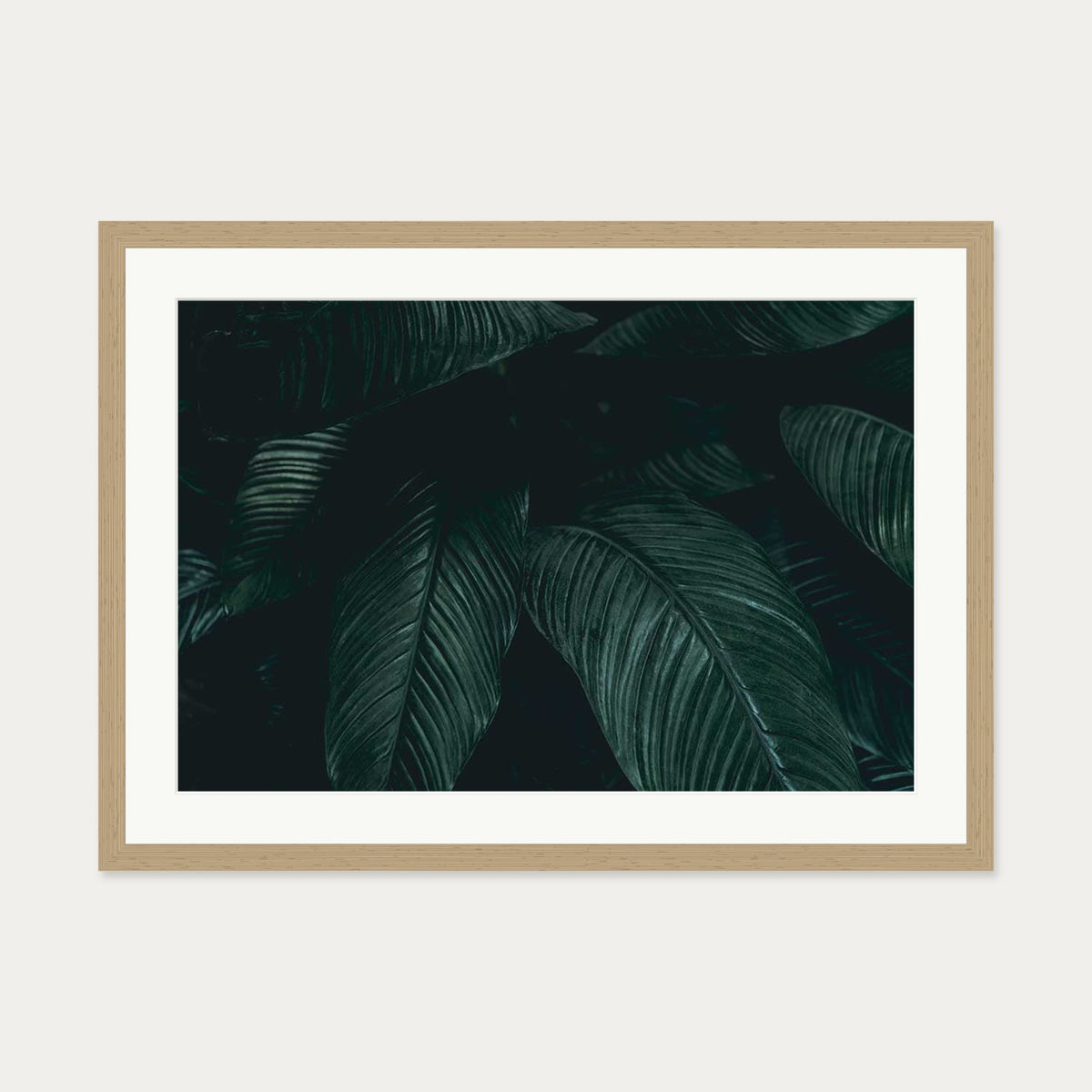 Tropical Leaf II Wall Art Print — 50 x 70 cm — Oak Frame