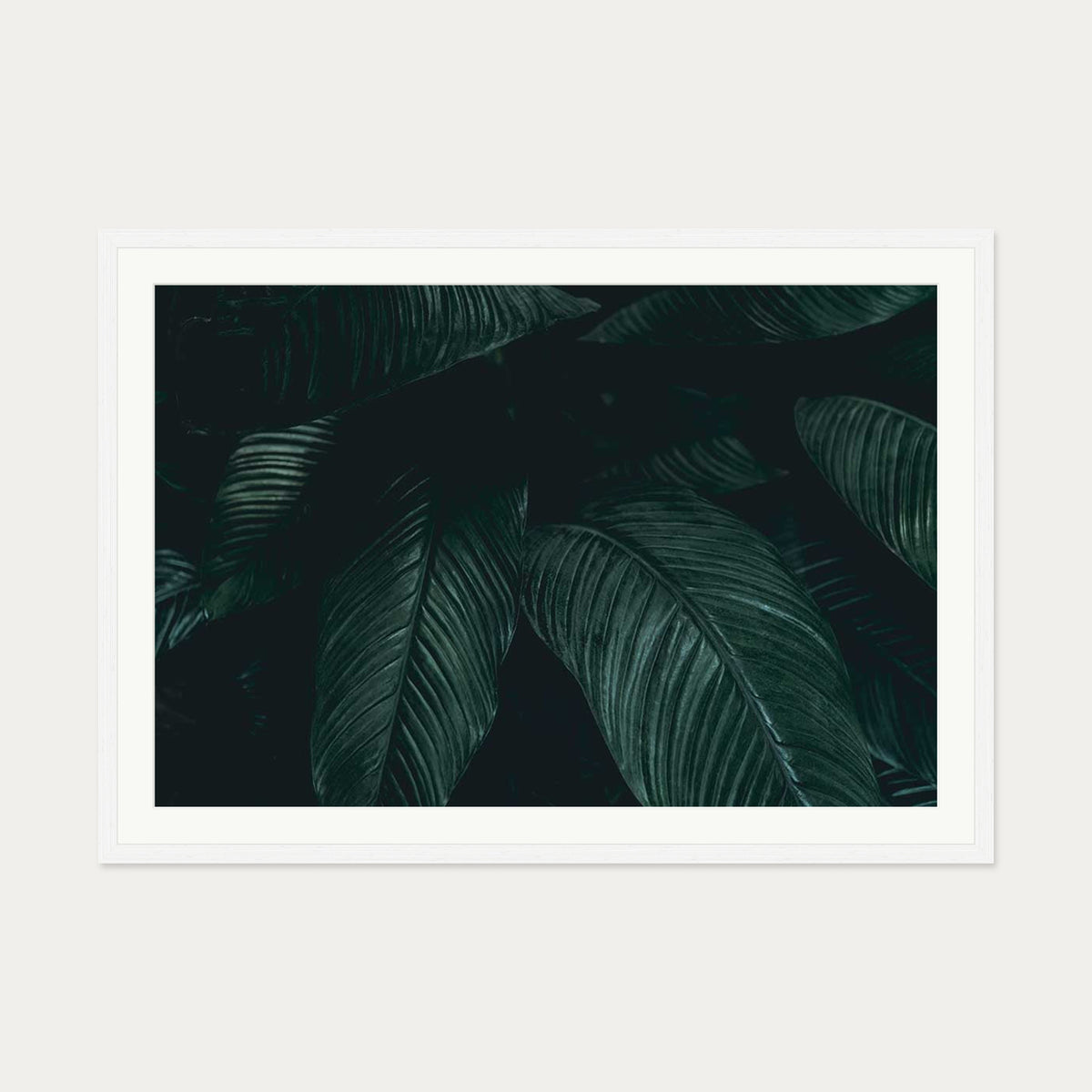 Tropical Leaf II Wall Art Print — 70 x 100 cm — White Frame