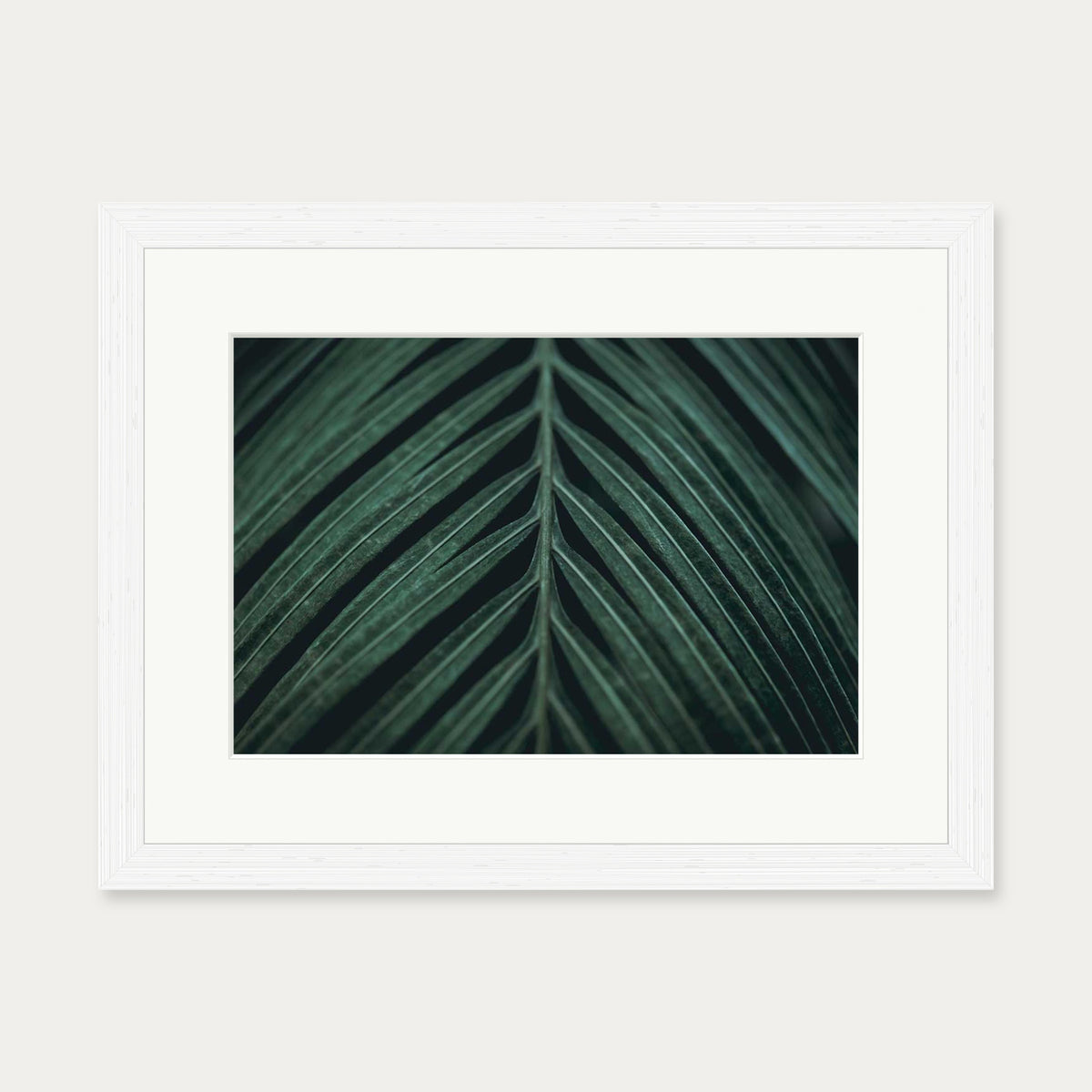 Tropical Leaf Wall Art Print — 30 x 40 cm — White Frame