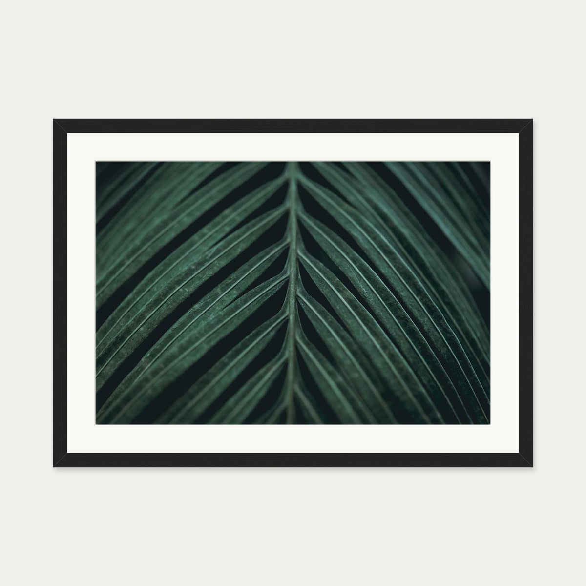 Tropical Leaf Wall Art Print — 50 x 70 cm — Black Frame