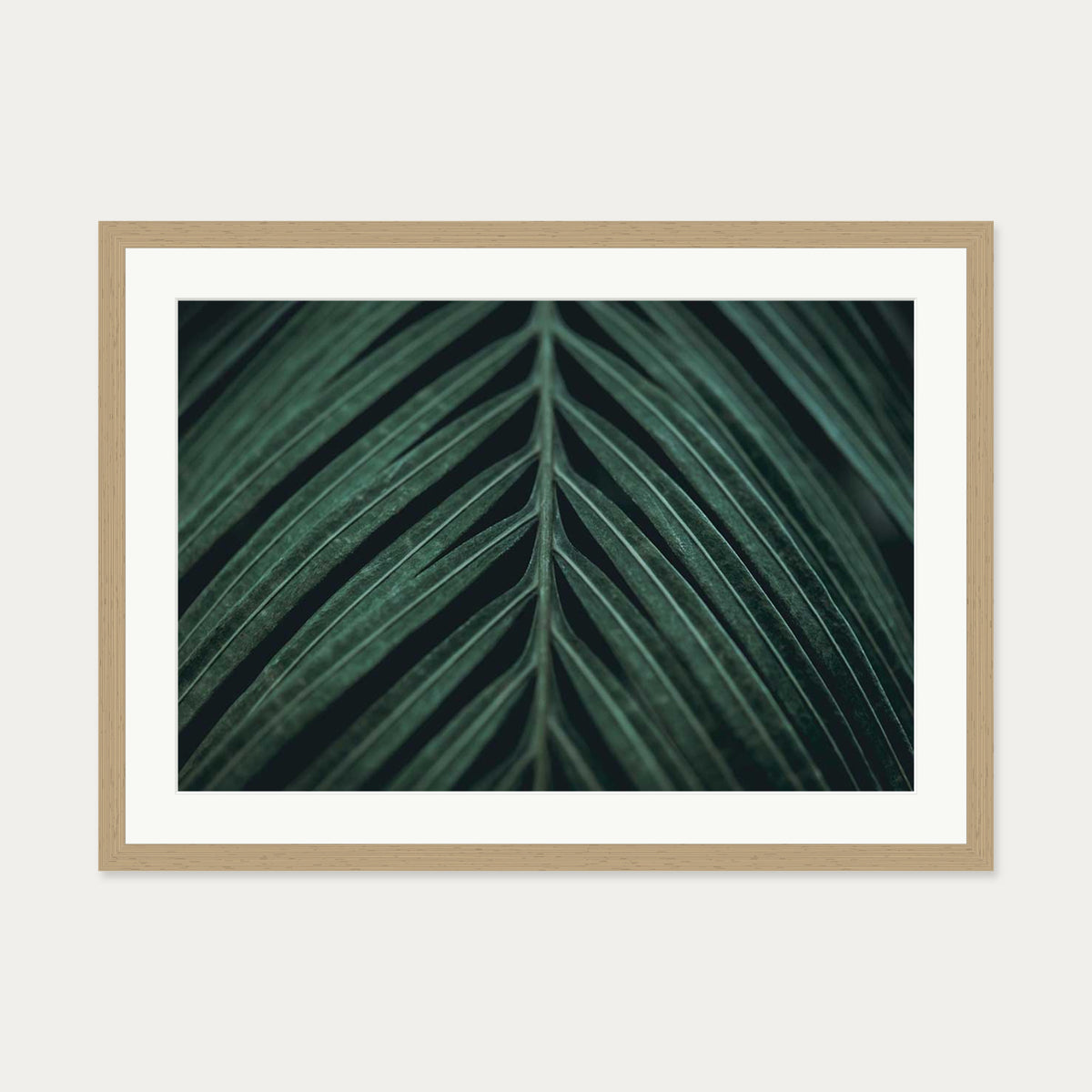 Tropical Leaf Wall Art Print — 50 x 70 cm — Oak Frame