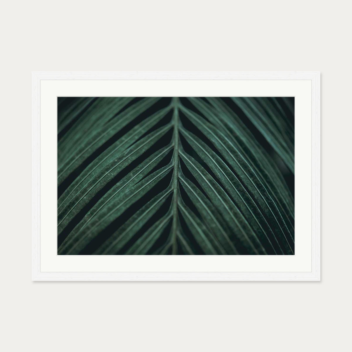 Tropical Leaf Wall Art Print — 50 x 70 cm — White Frame