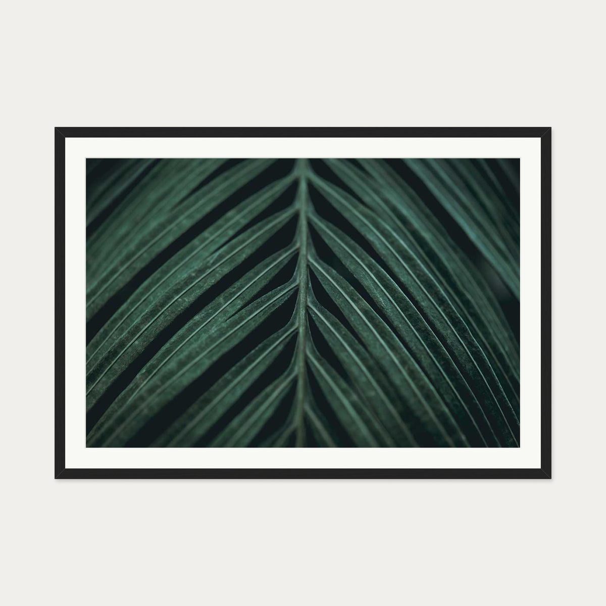 Tropical Leaf Wall Art Print — 70 x 100 cm — Black Frame
