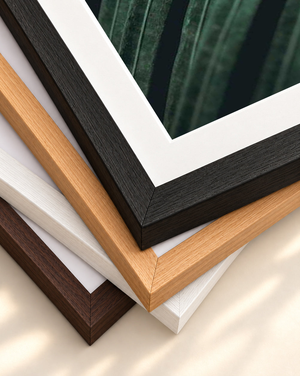 Tropical Leaf Wall Art Print — framed print corner with 5 cm mount and bevel