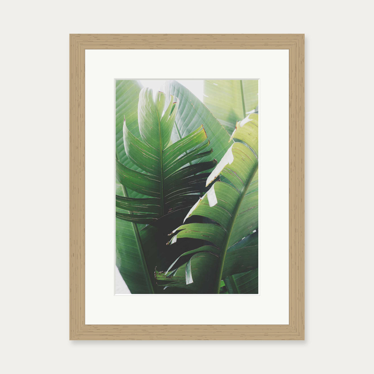 Tropical Leaves Wall Art Print — 30 x 40 cm — Oak Frame