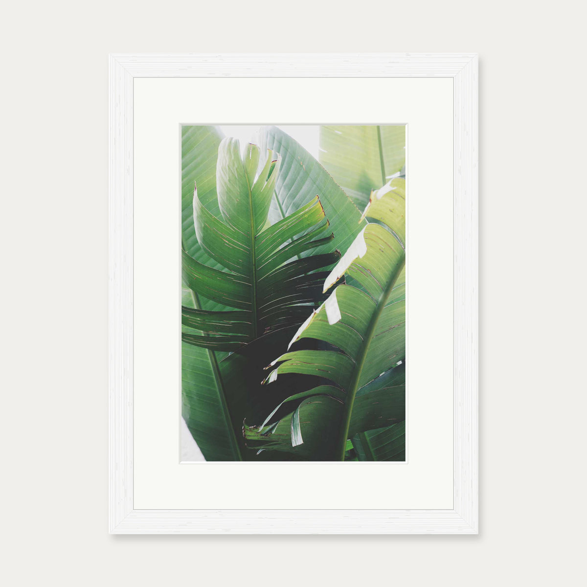Tropical Leaves Wall Art Print — 30 x 40 cm — White Frame