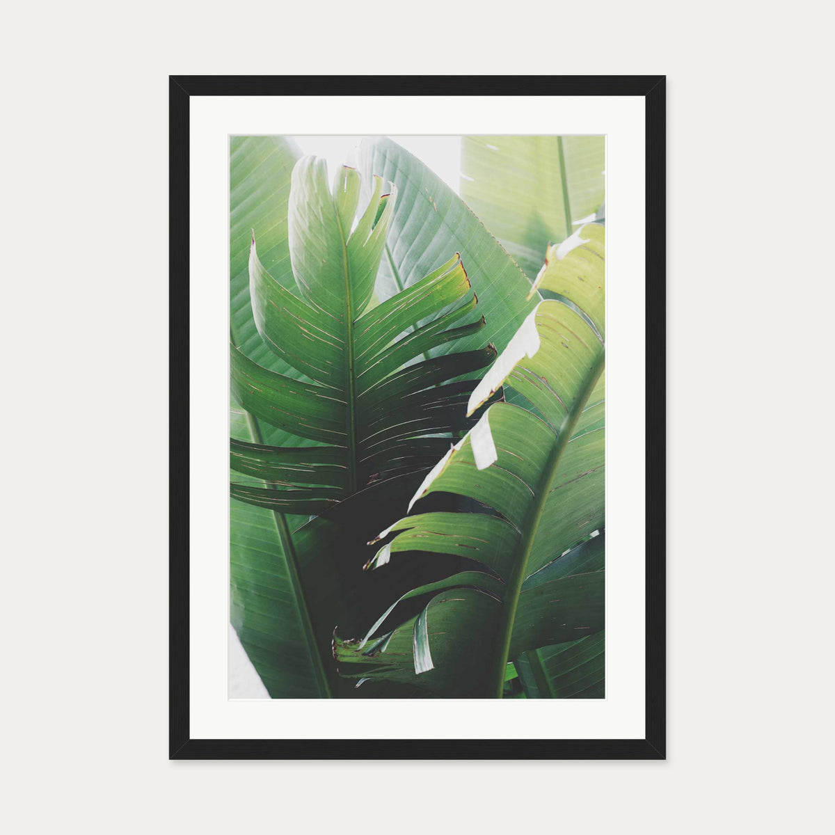 Tropical Leaves Wall Art Print — 50 x 70 cm — Black Frame