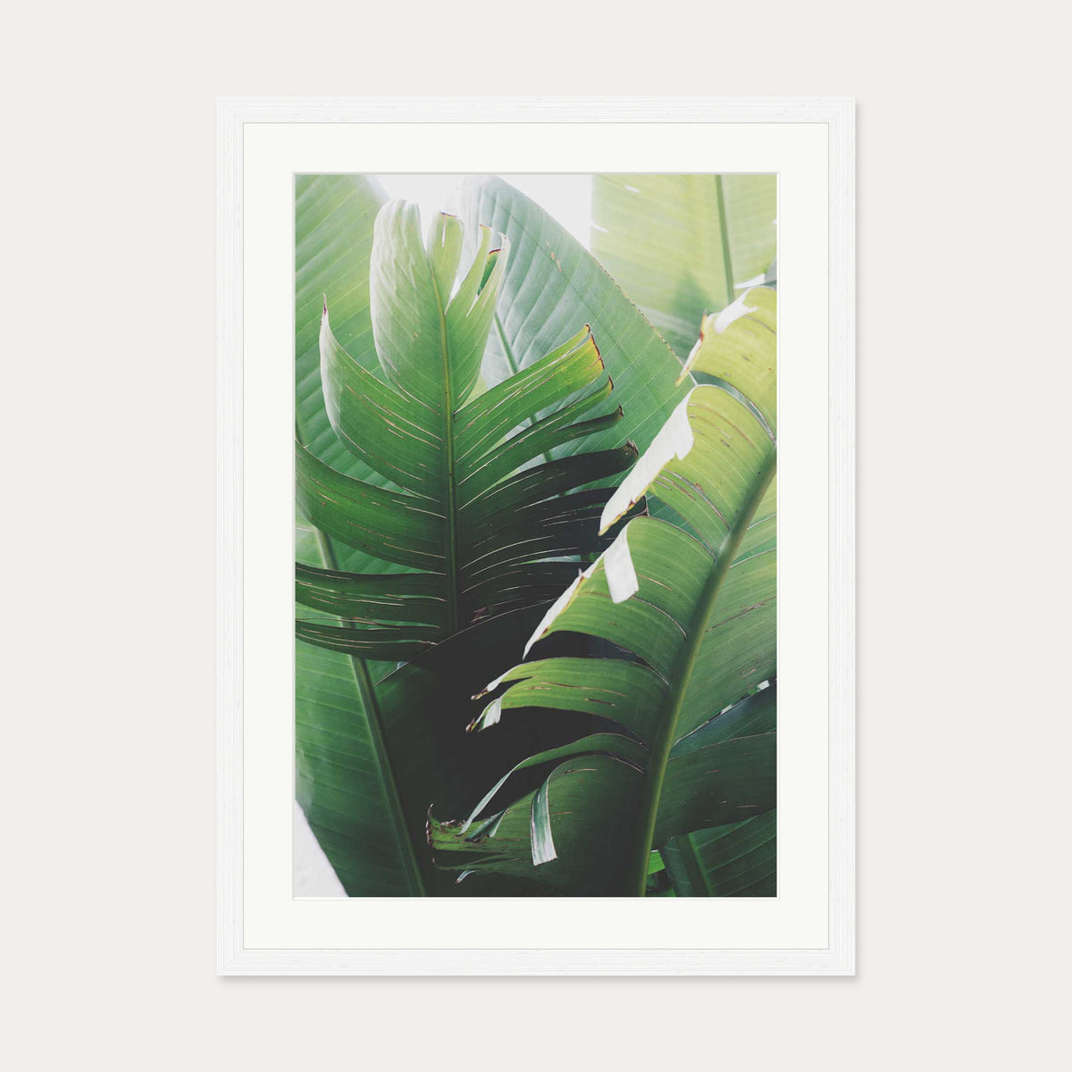 Tropical Leaves Wall Art Print — 50 x 70 cm — White Frame