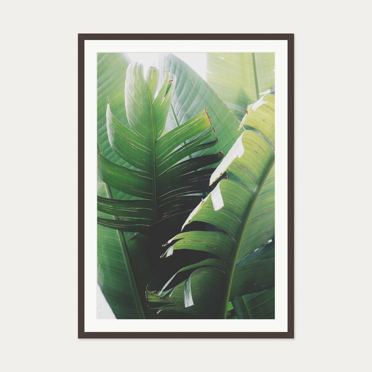 Tropical Leaves Wall Art Print — 70 x 100 cm — Brown Frame