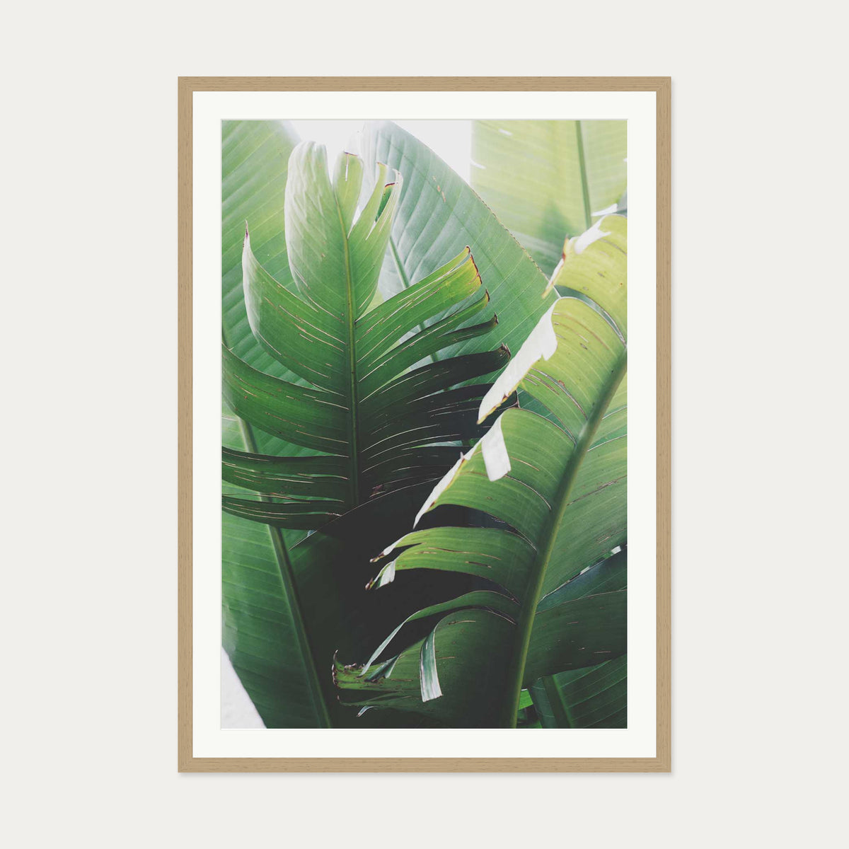 Tropical Leaves Wall Art Print — 70 x 100 cm — Oak Frame