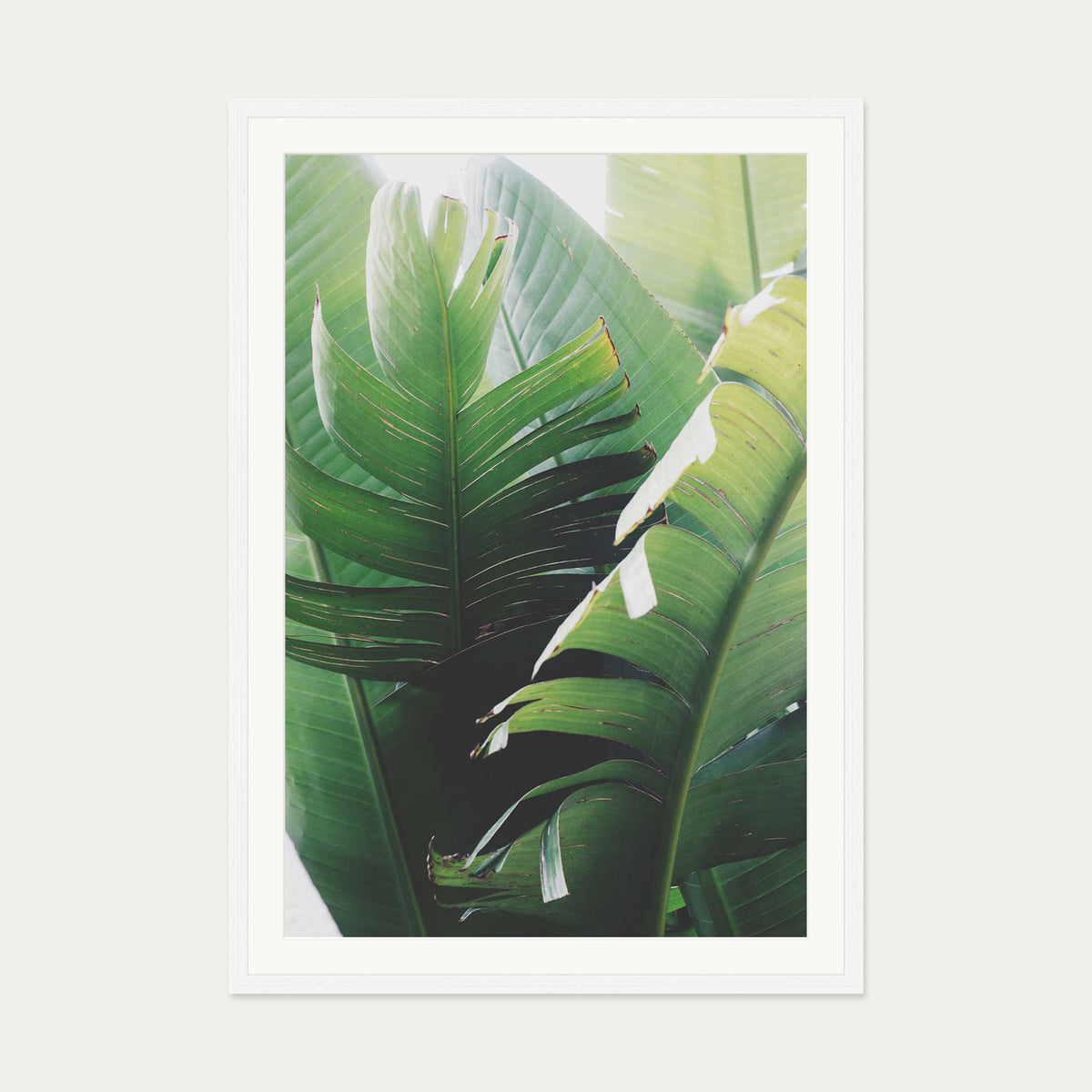 Tropical Leaves Wall Art Print — 70 x 100 cm — White Frame