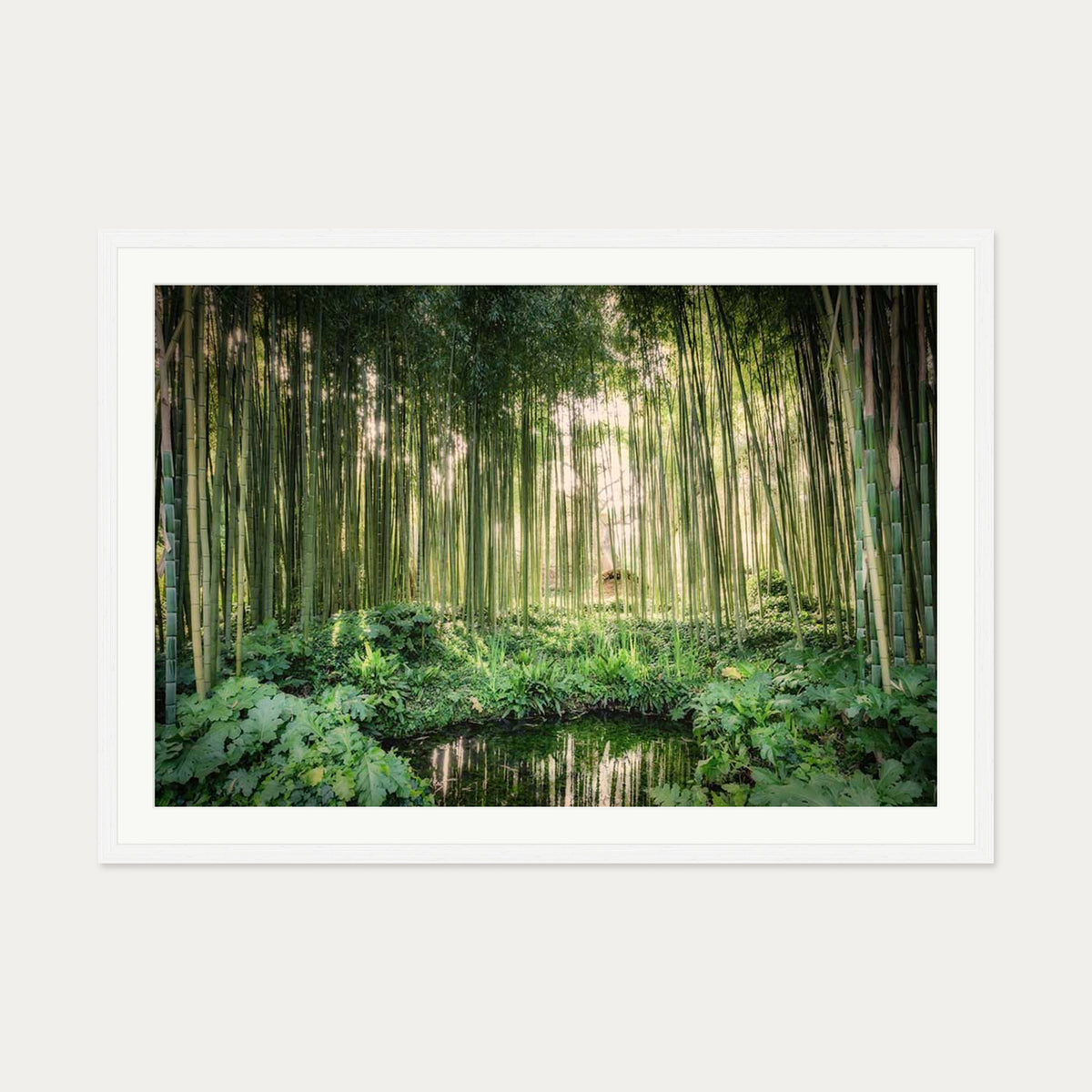 Tropical Oasis Wall Art Print — 70 x 100 cm — White Frame