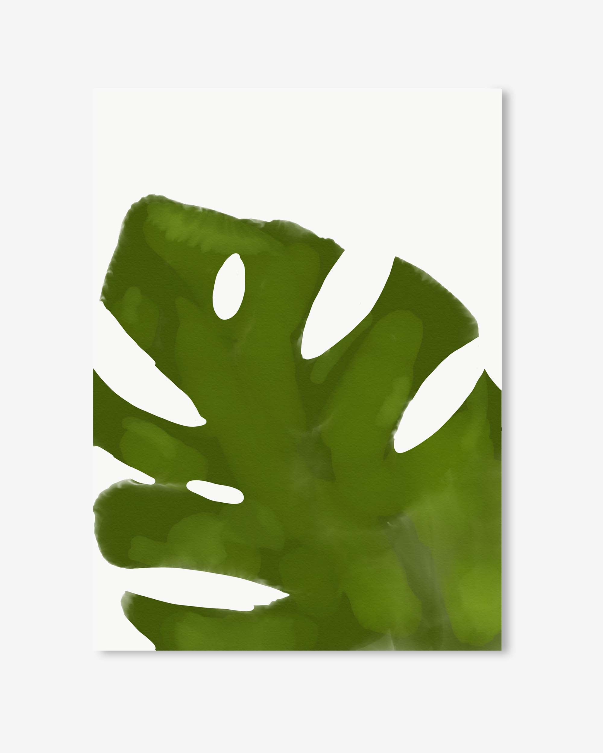 Green leaf on a white background