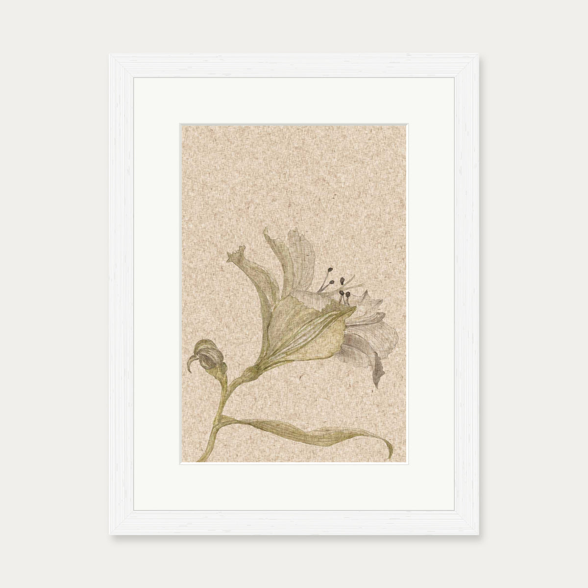 Vintage Floral Stem Art Print — 30 x 40 cm — White Frame