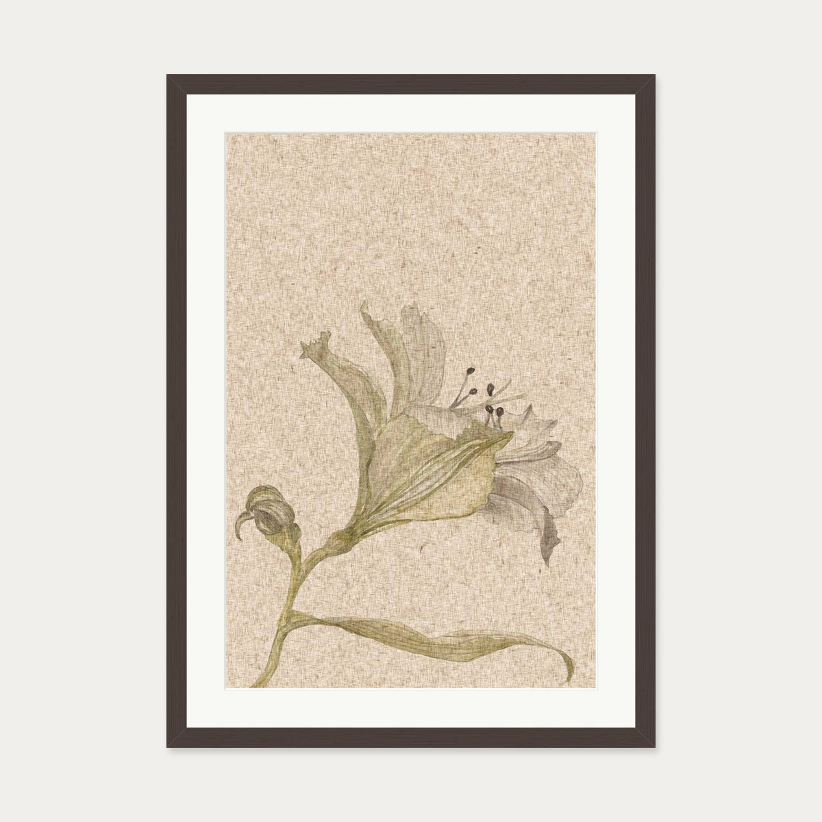 Vintage Floral Stem Art Print — 50 x 70 cm — Brown Frame