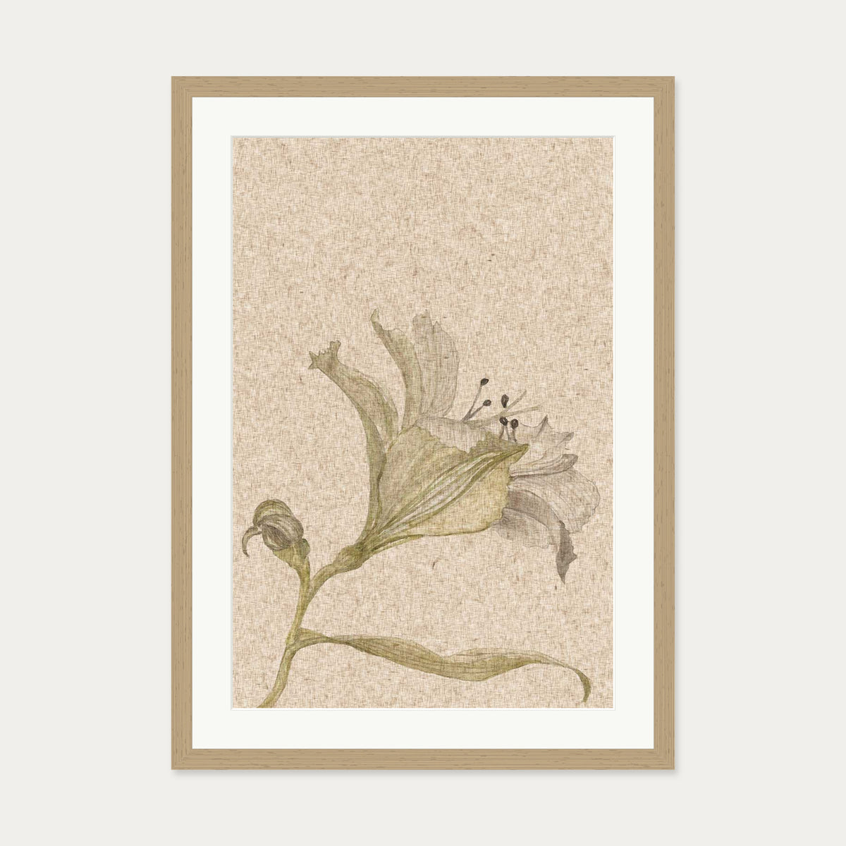 Vintage Floral Stem Art Print — 50 x 70 cm — Oak Frame