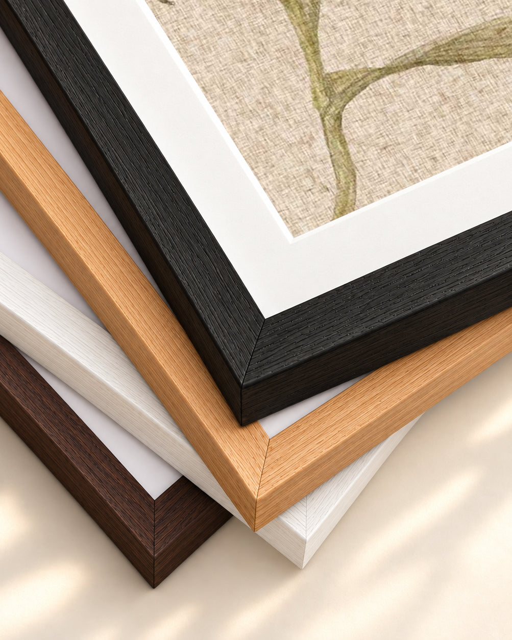 Vintage Floral Stem Art Print — framed print corner with 5 cm mount and bevel