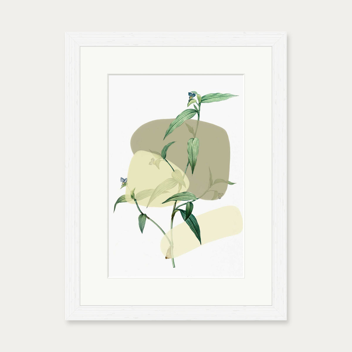 Vintage Plant With Shapes 2 Art Print — 30 x 40 cm — White Frame
