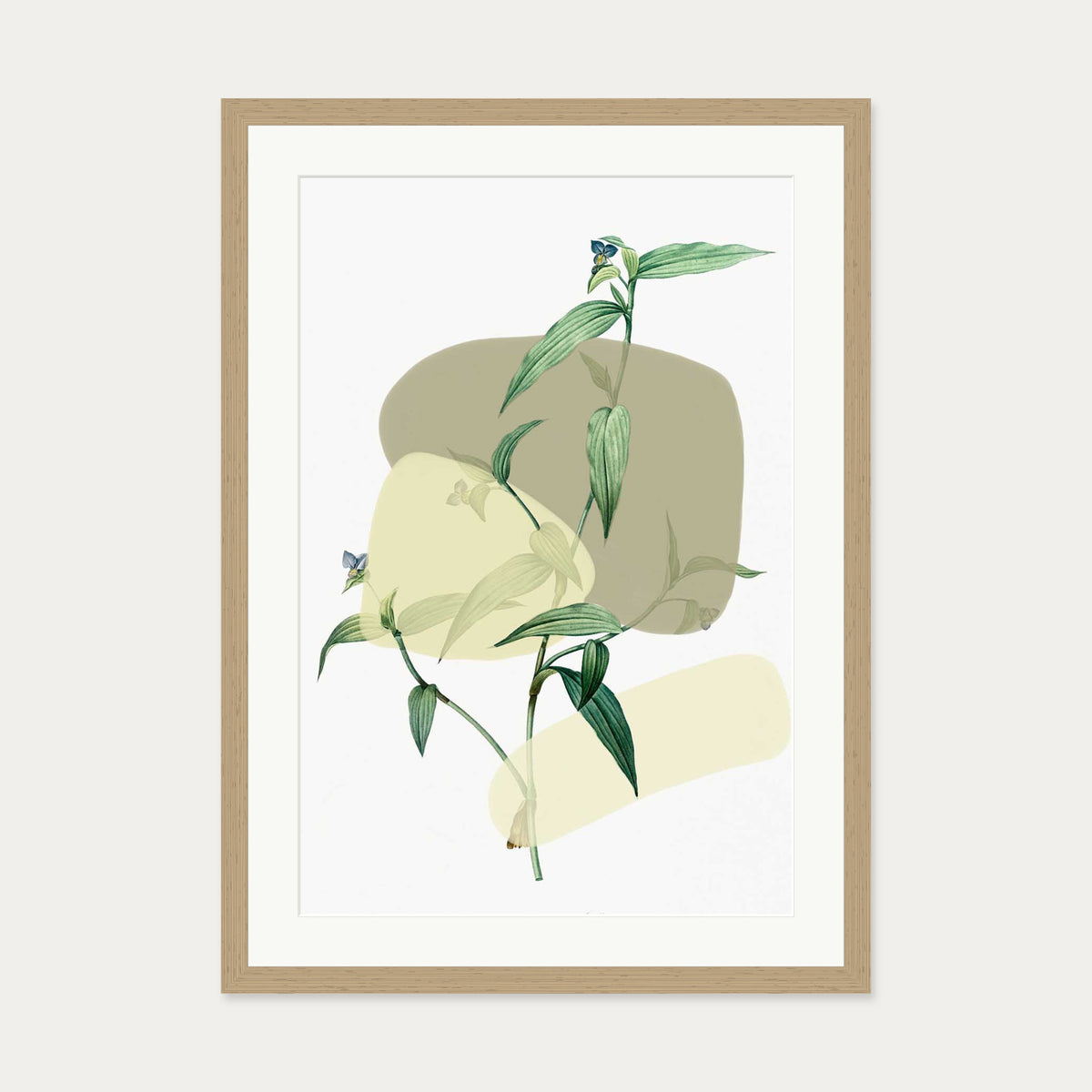 Vintage Plant With Shapes 2 Art Print — 50 x 70 cm — Oak Frame