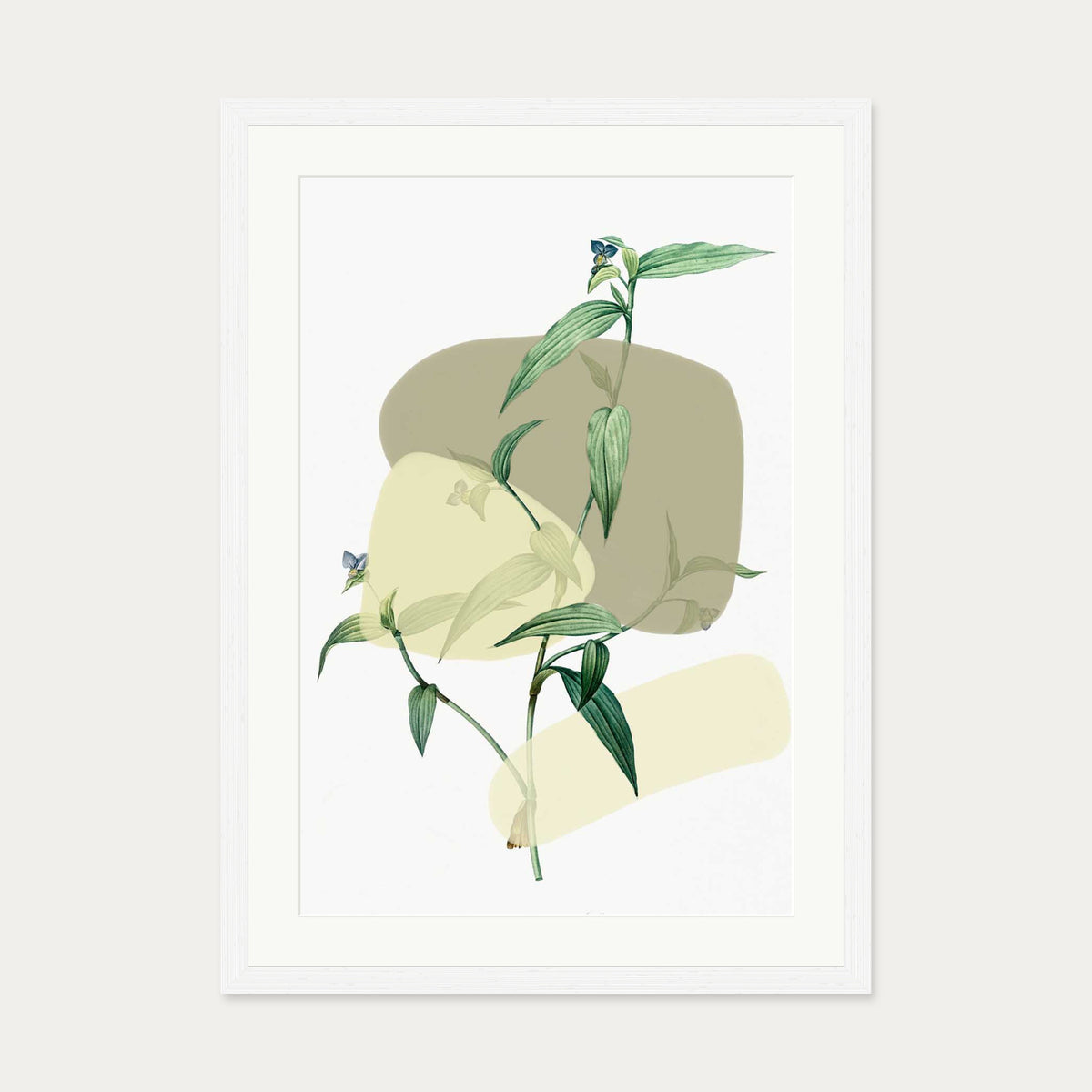 Vintage Plant With Shapes 2 Art Print — 50 x 70 cm — White Frame