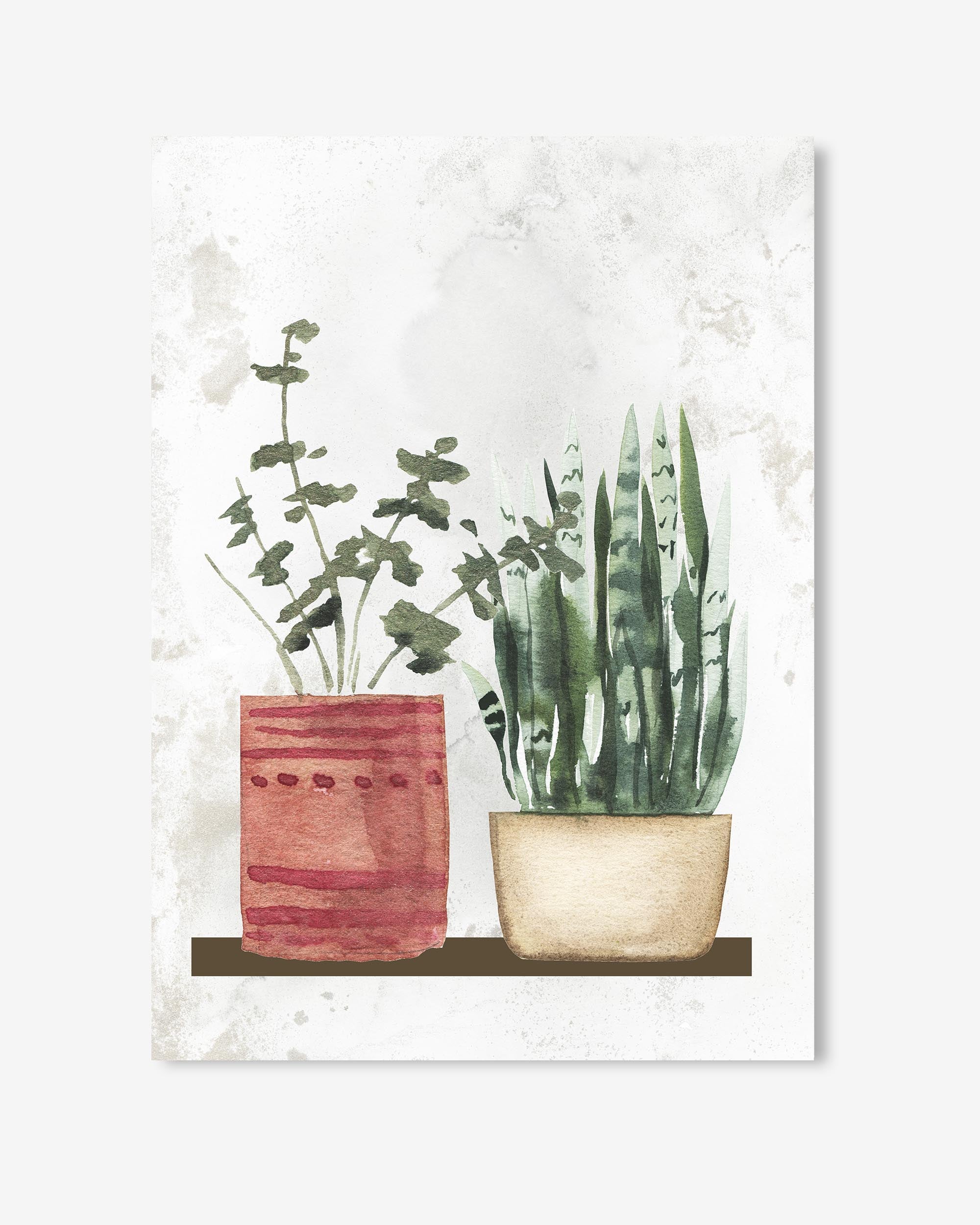 botanical plans in pots watercolour artwork