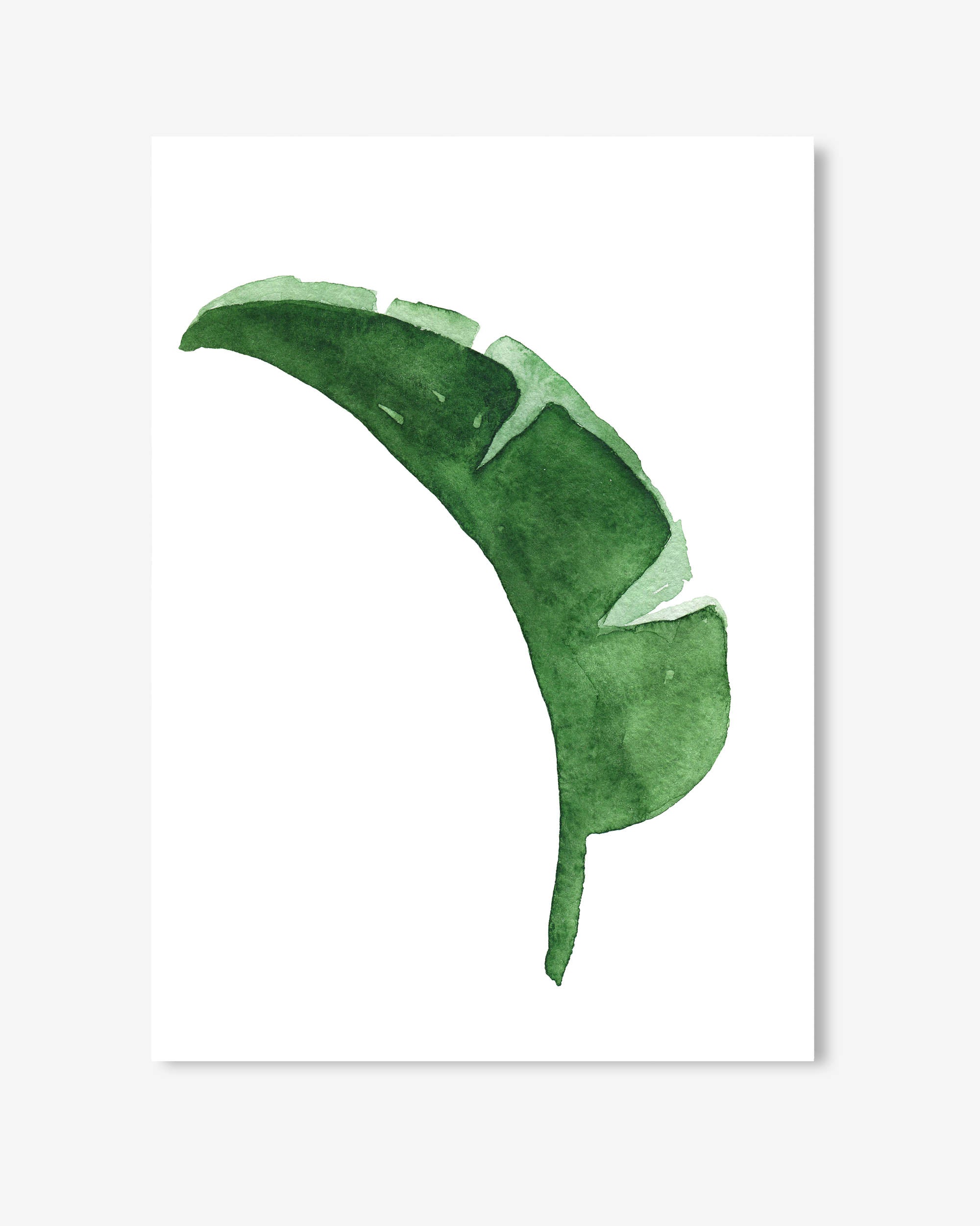 Green leaf illustration on a white background