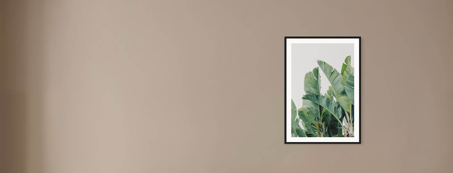 Botanical Art Prints