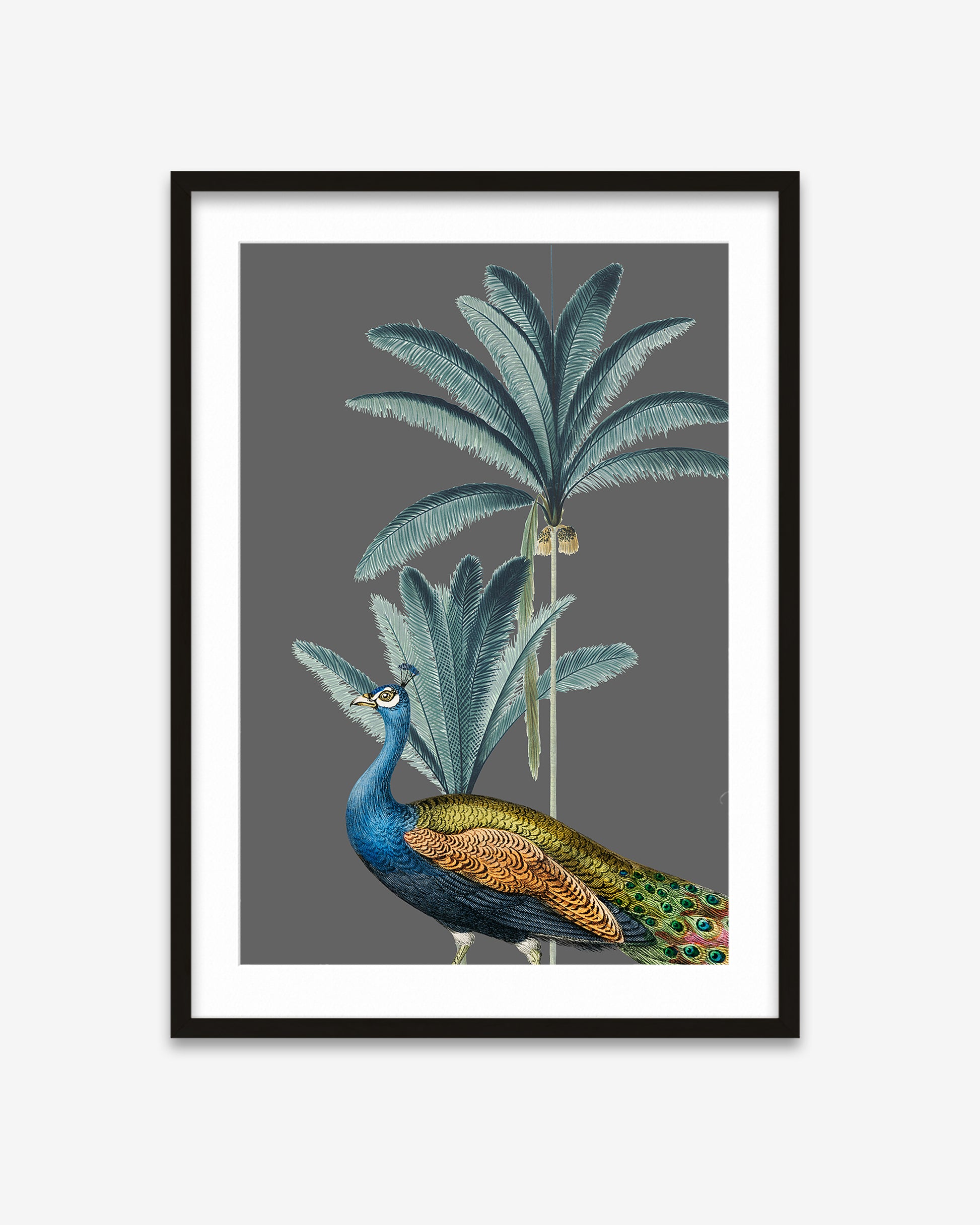 Framed artwork of a peacock and palm trees on a gray background