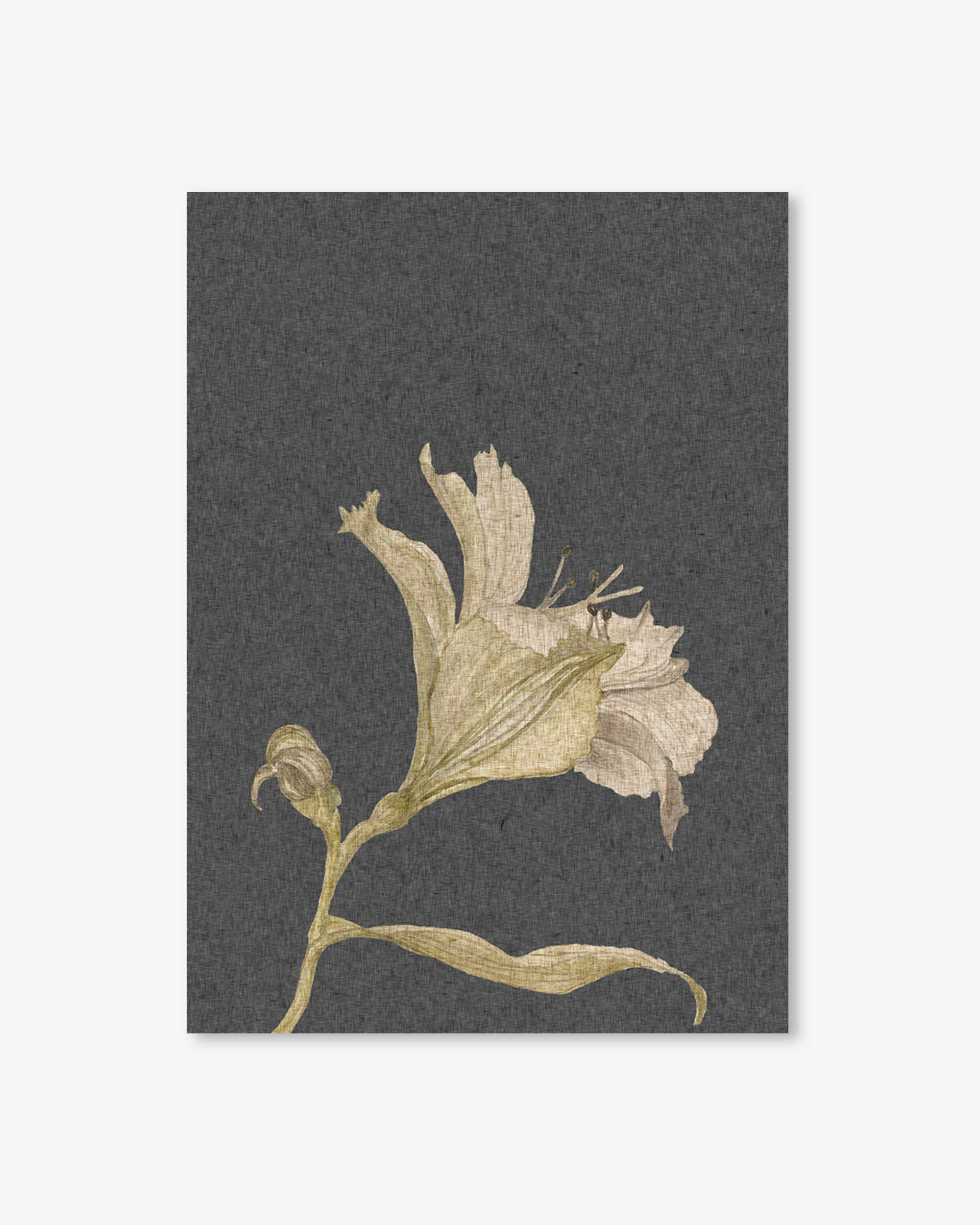 Grey Vintage Floral Stem Art Print