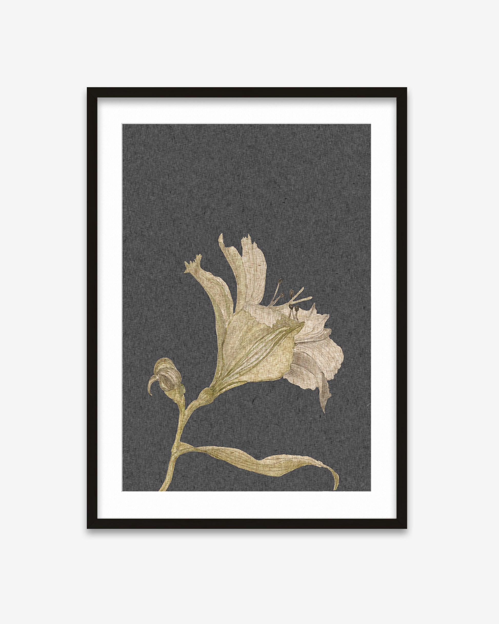 Framed artwork of a beige flower on a dark gray background