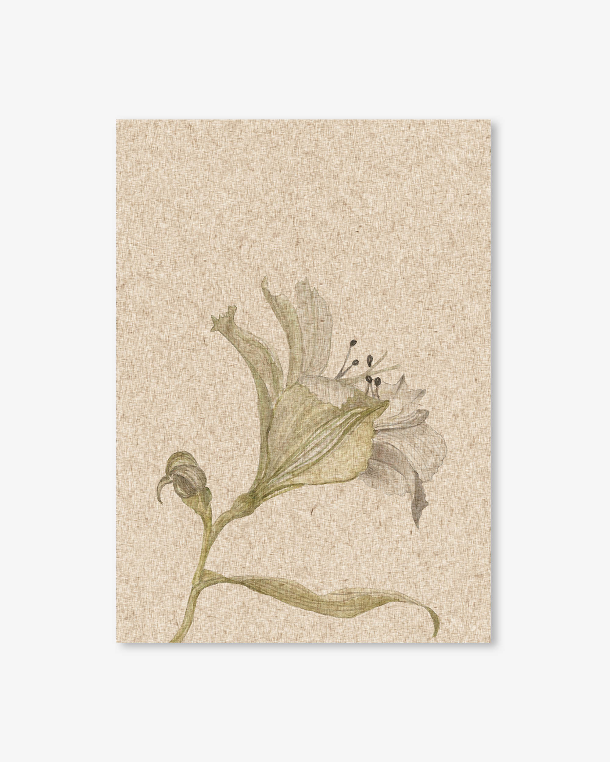 Vintage Floral Stem Art Print