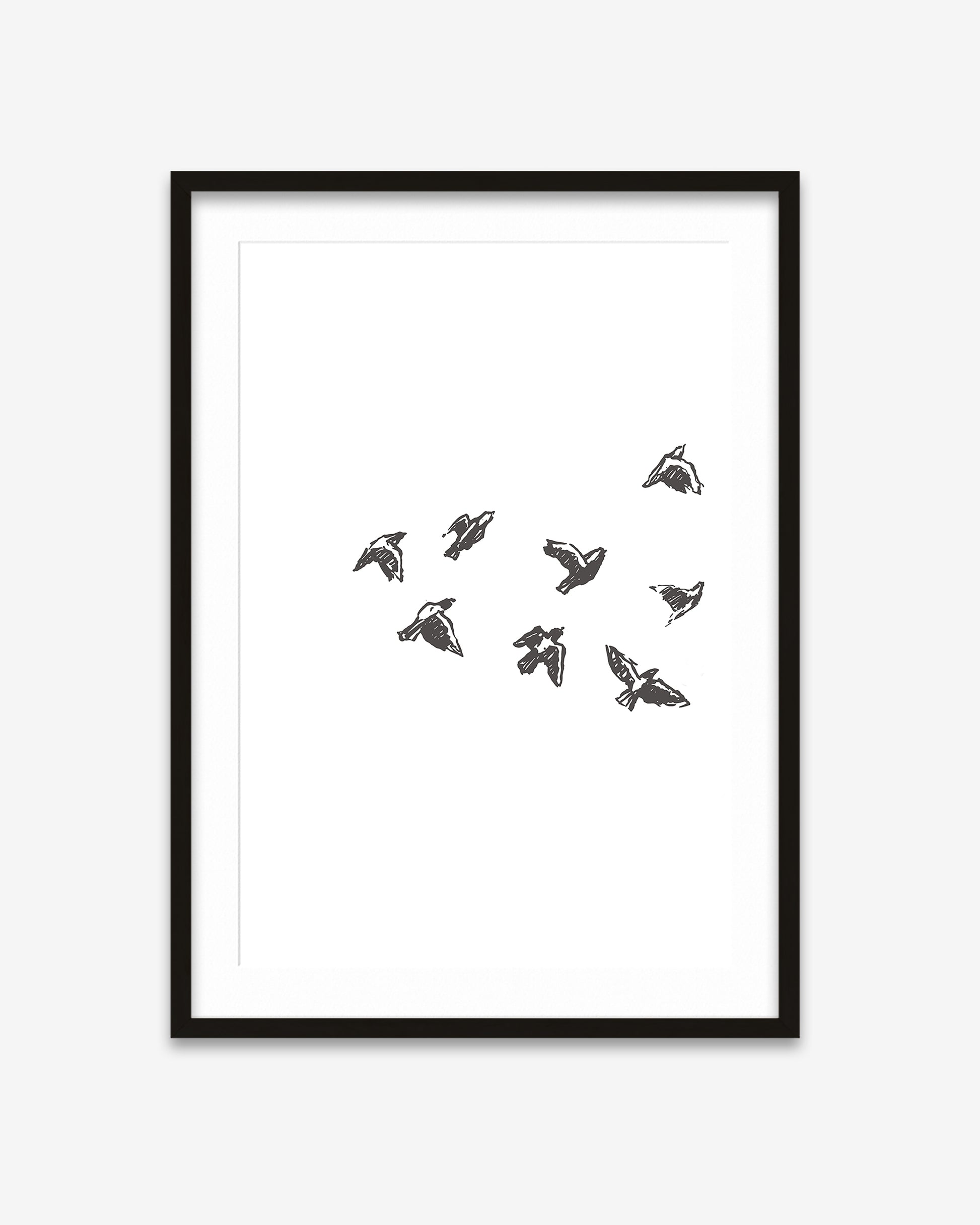 Framed artwork with black line drawings of birds on a white background