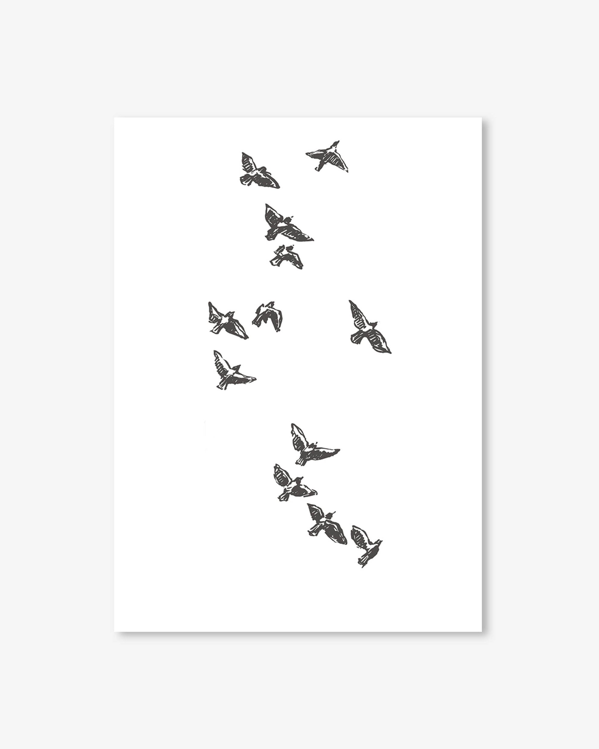 Black and white illustrations of birds on a white background