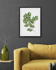 Framed botanical print of green leaves on a dark gray wall above a yellow sofa.