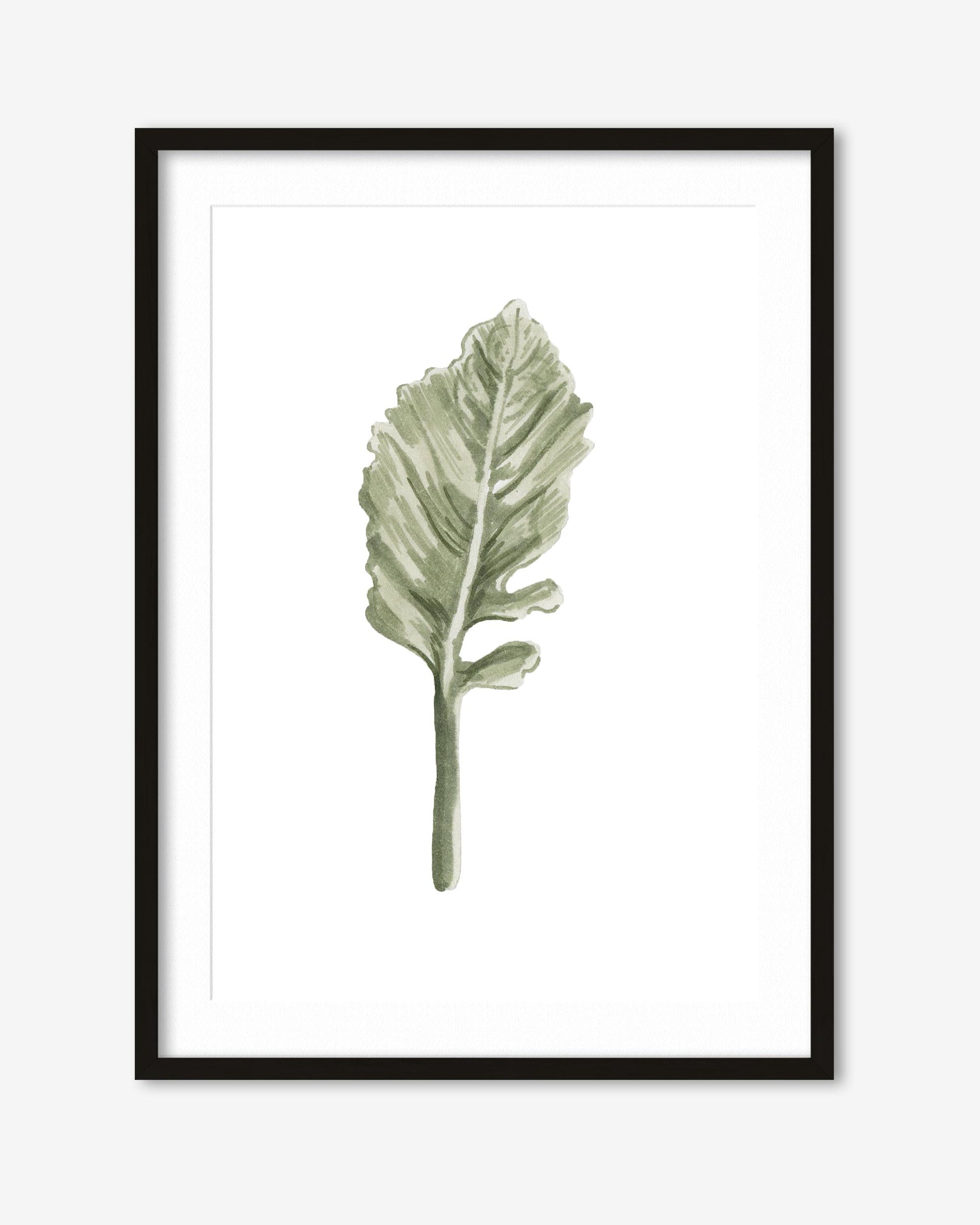 Framed artwork of a green leaf on a white background