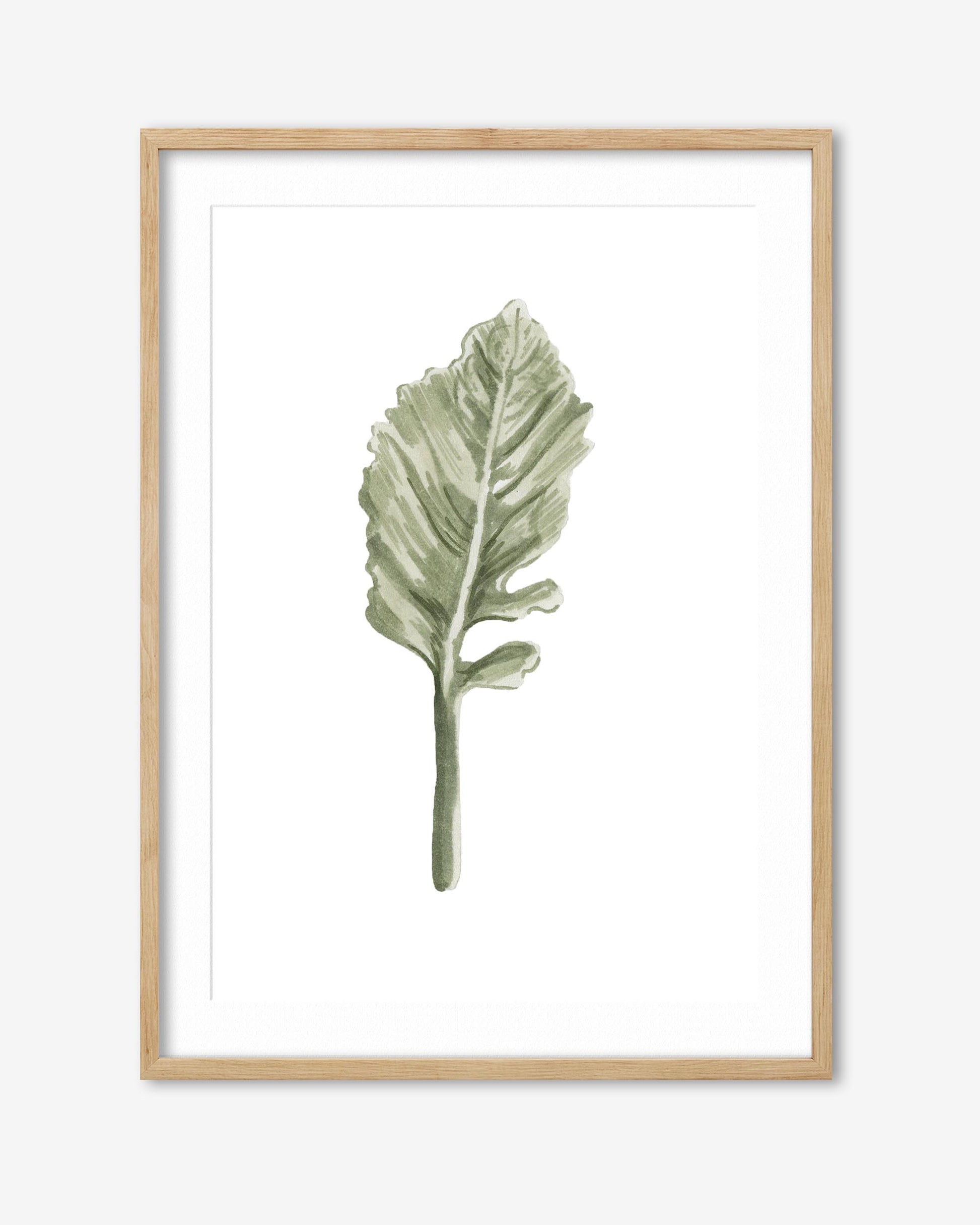 Framed artwork of a green leaf on a white background