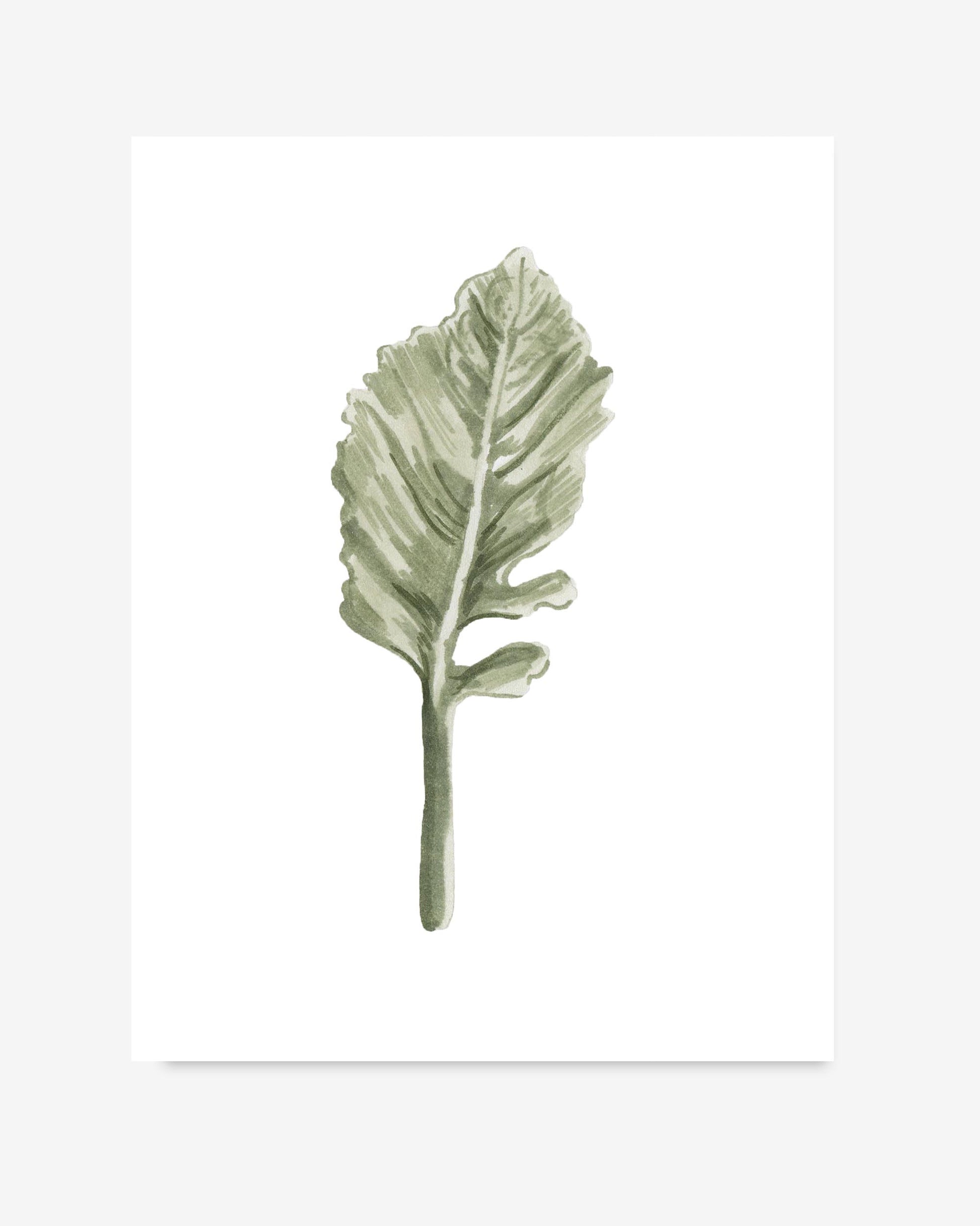 Green leaf illustration on a white background