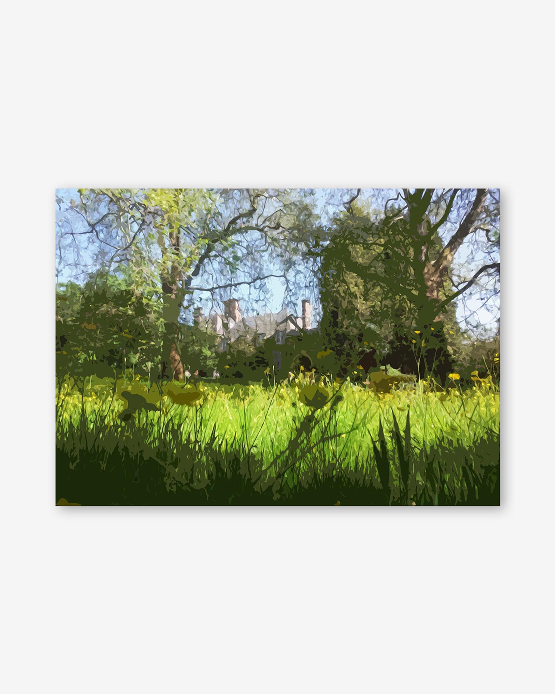 Lush green field with trees and a house in the background