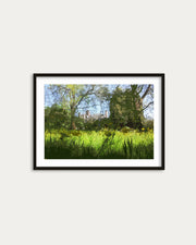 Framed artwork of a landscape with trees and grass on a white wall