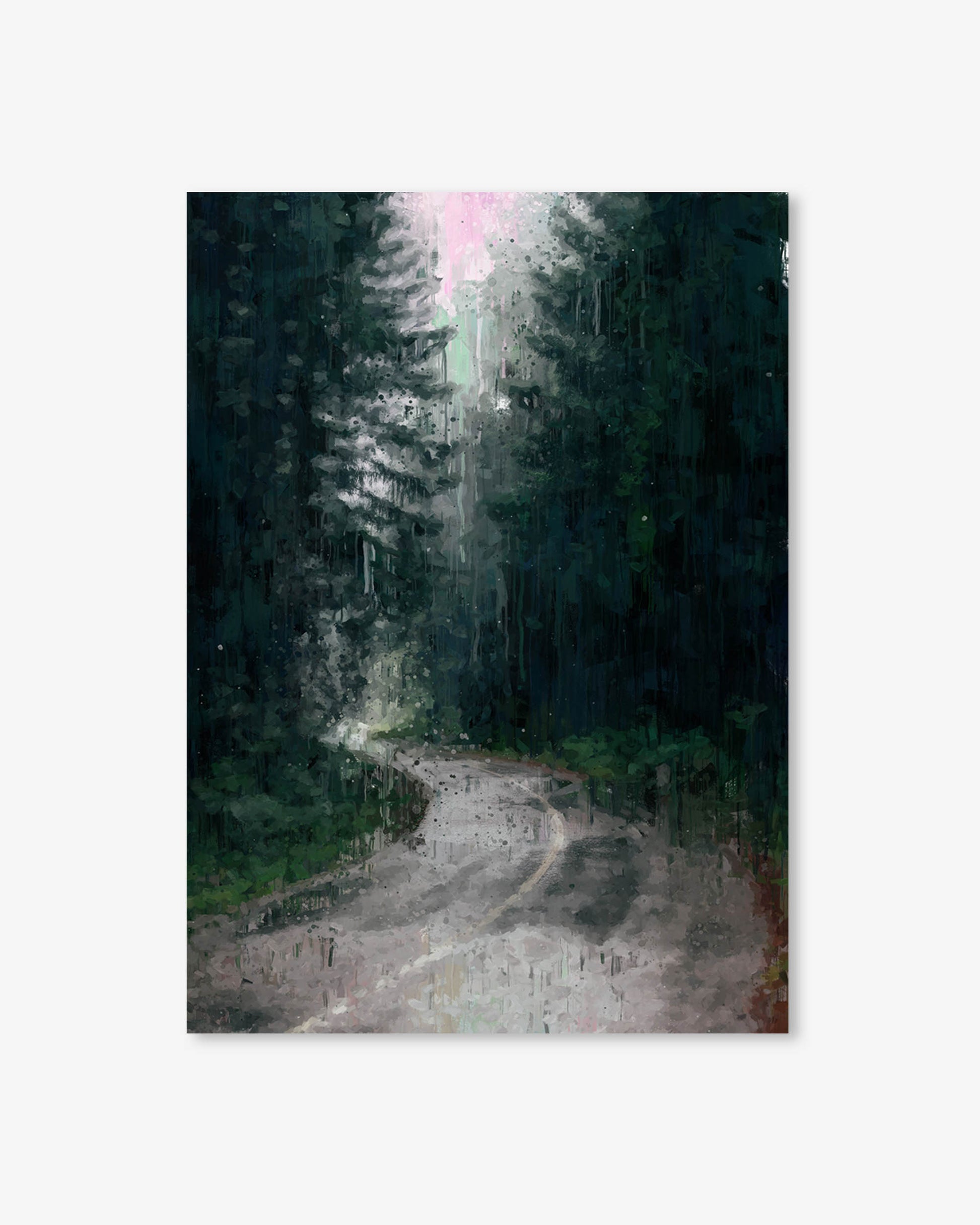Winding dirt road through a dense forest with tall trees on a white background