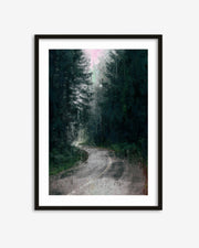 Framed artwork of a forest path with tall trees