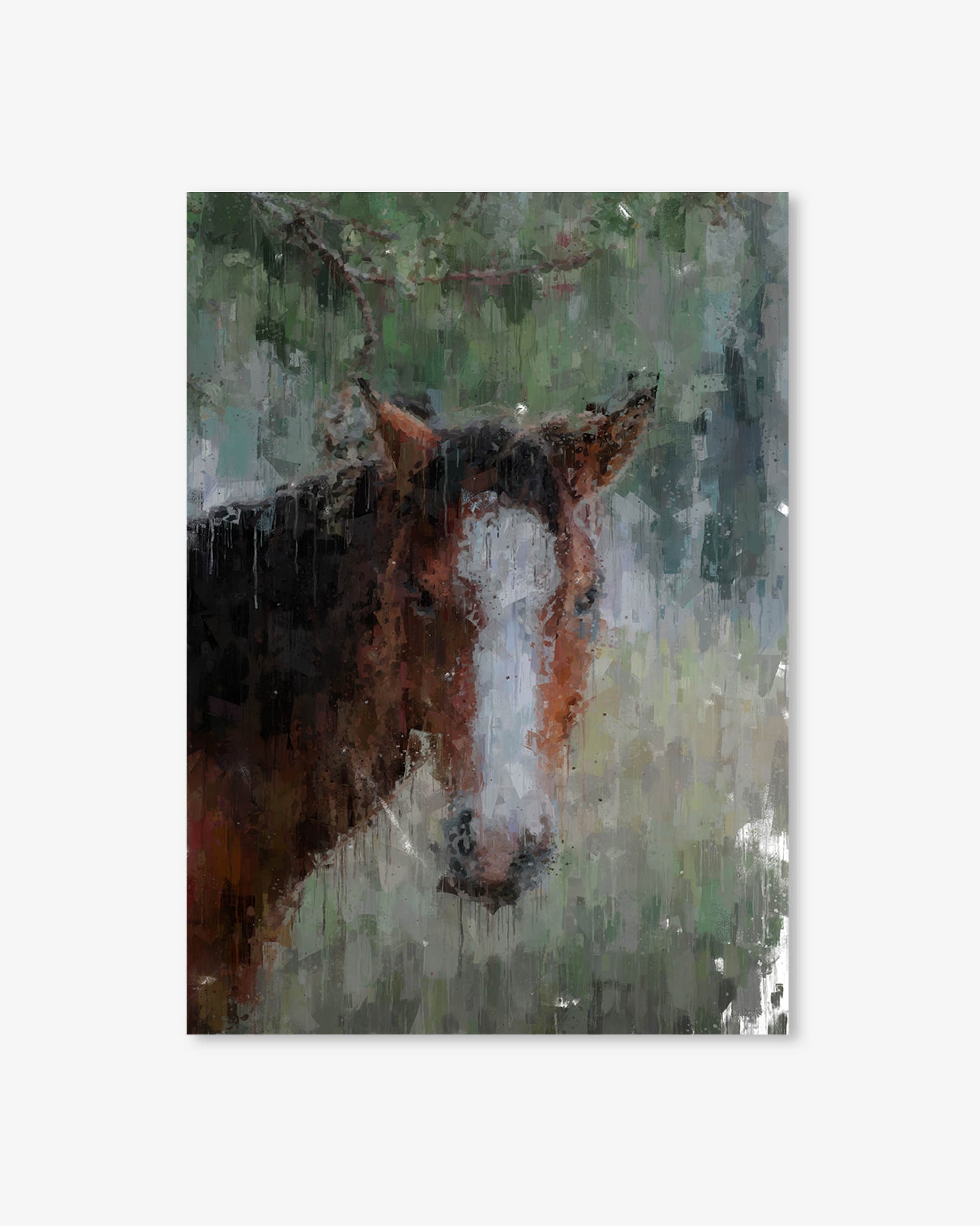 Horse with a white blaze on its face standing in a grassy field.