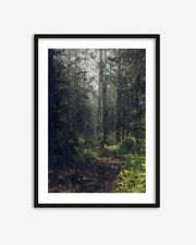 Framed artwork of a forest scene with a black frame.