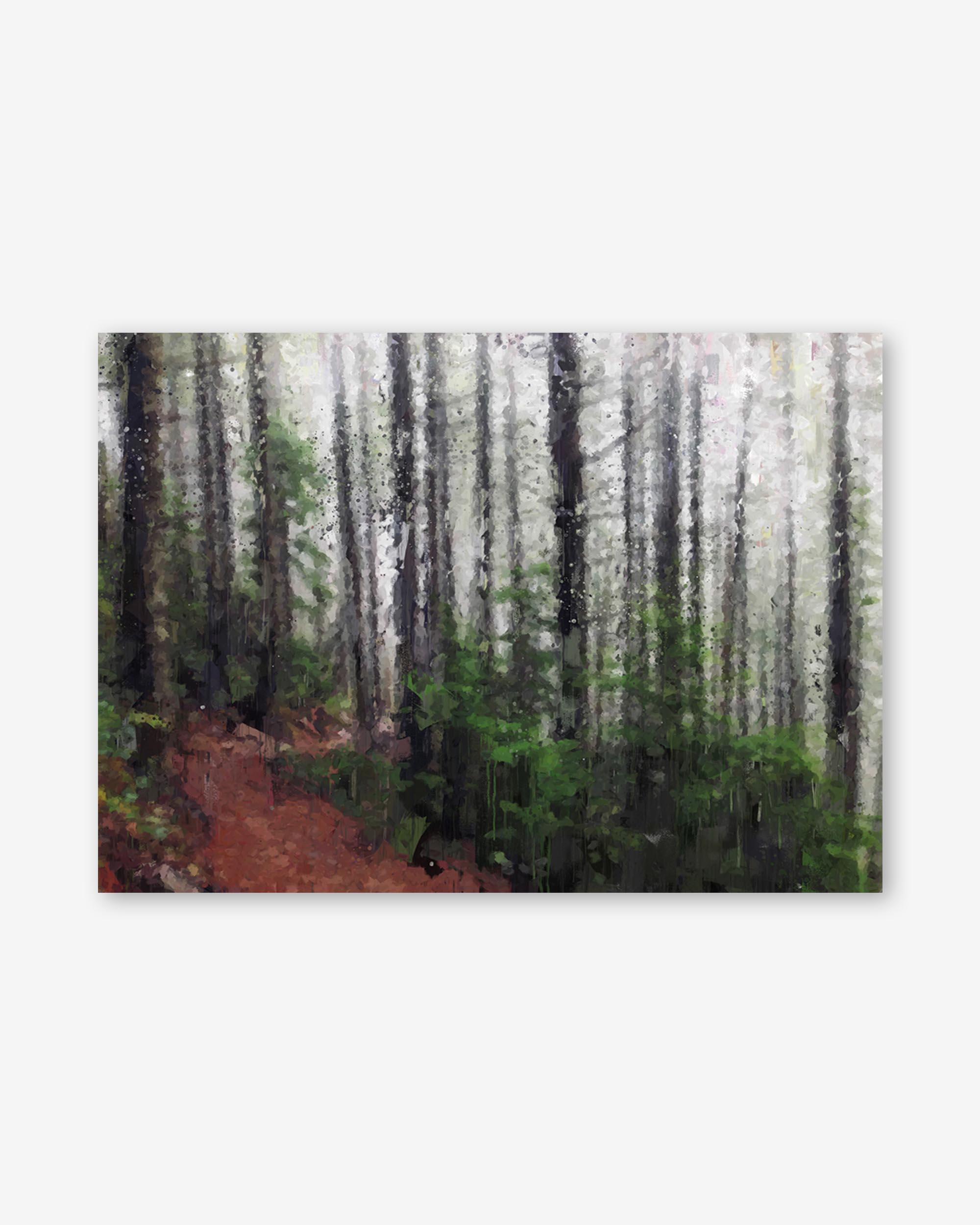 Forest scene with a path and tall trees