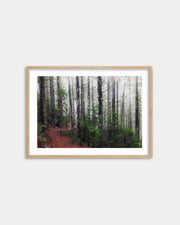 Framed artwork of a forest path on a white wall
